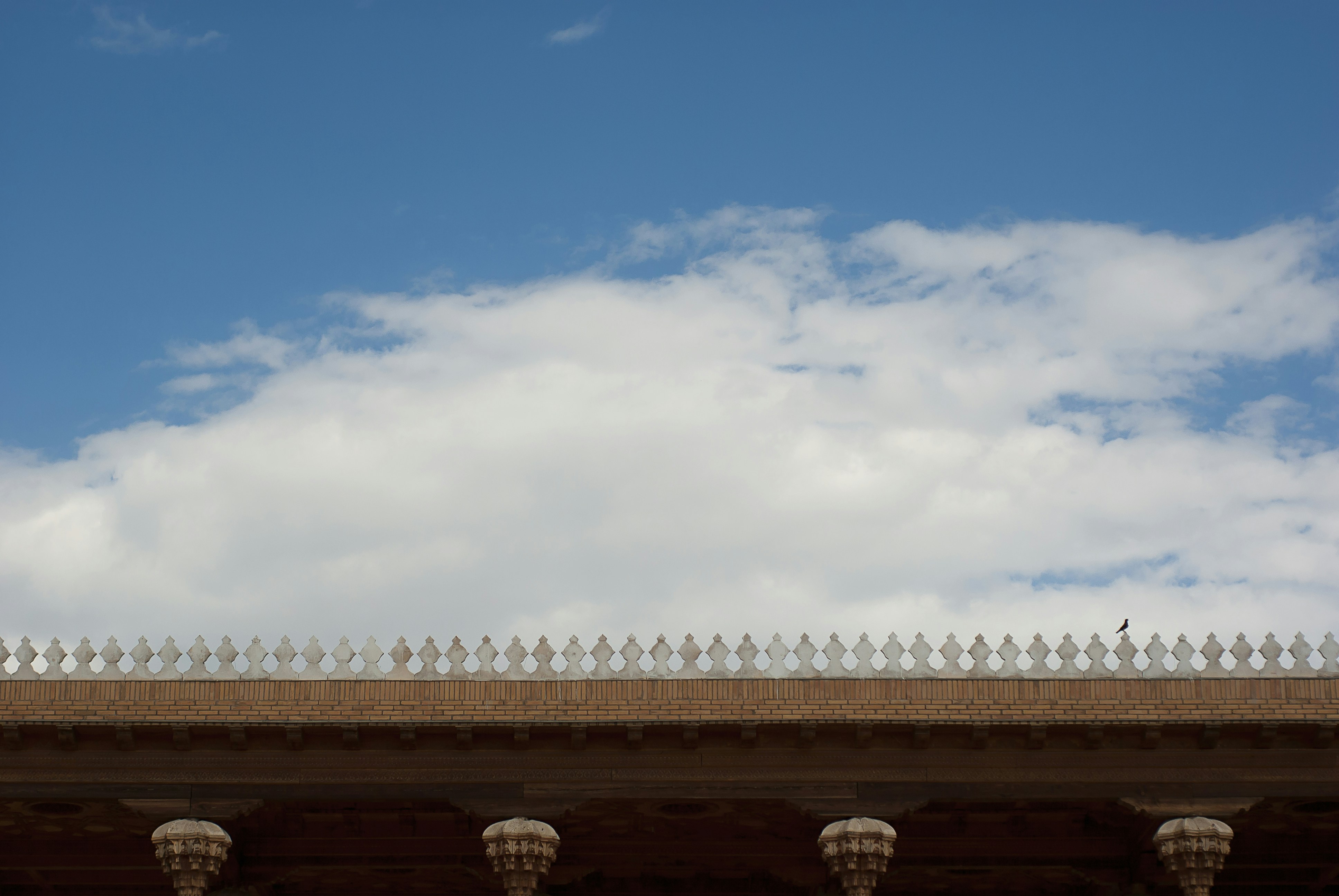 Photo by kovalskihelga