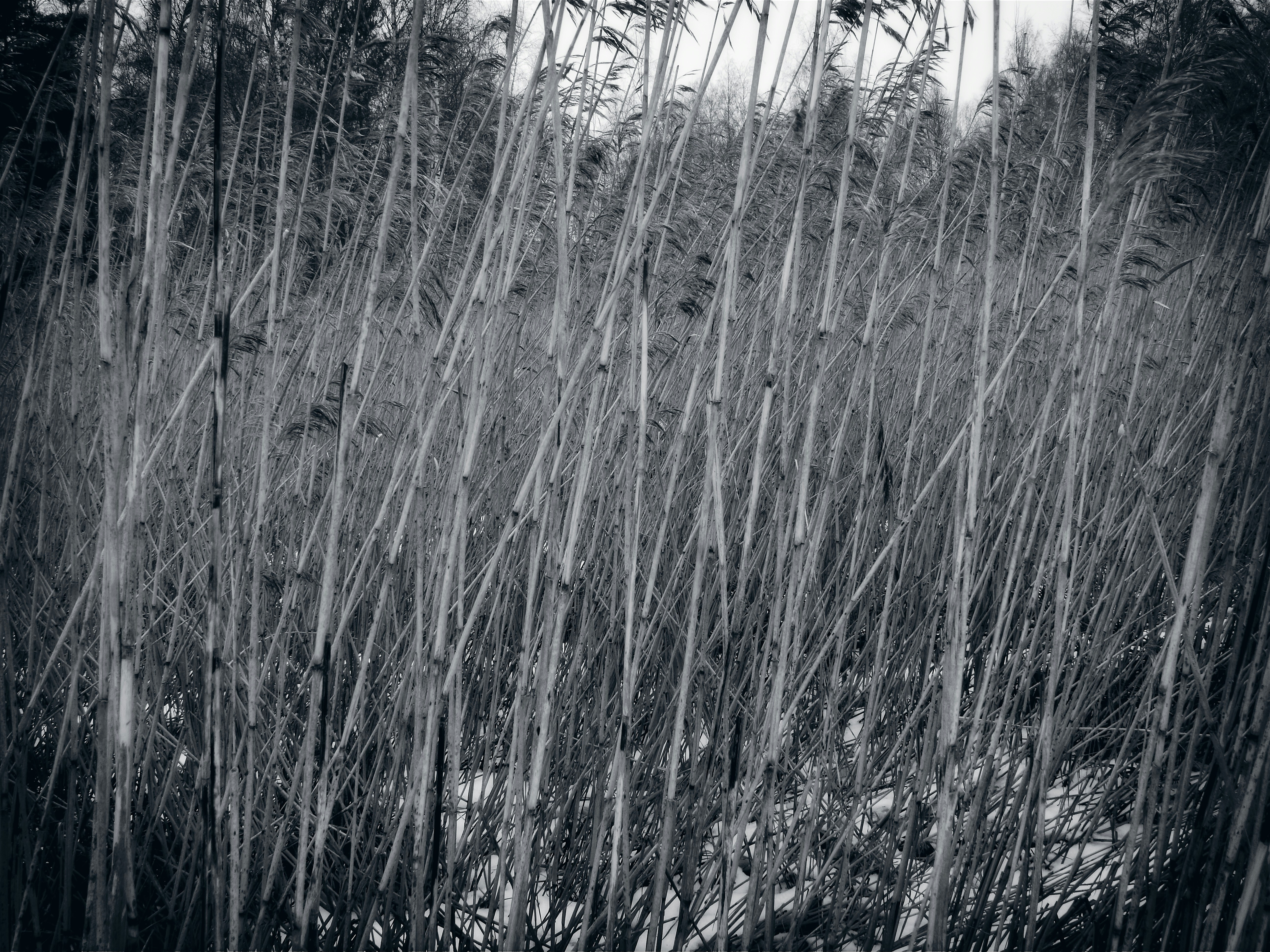 Photo by schneiderhenry