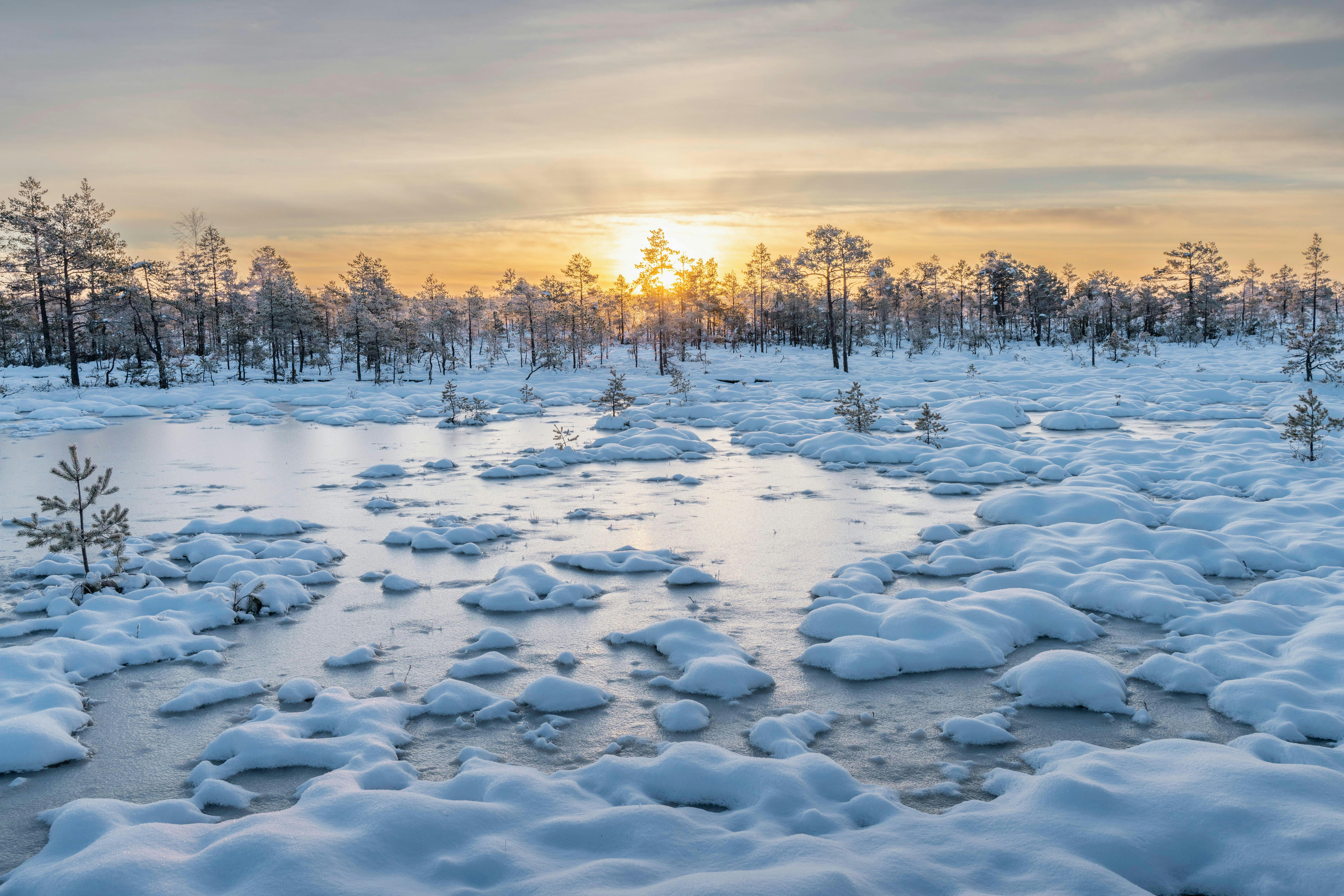 기후동행퀴즈 정답 관련 이미지2