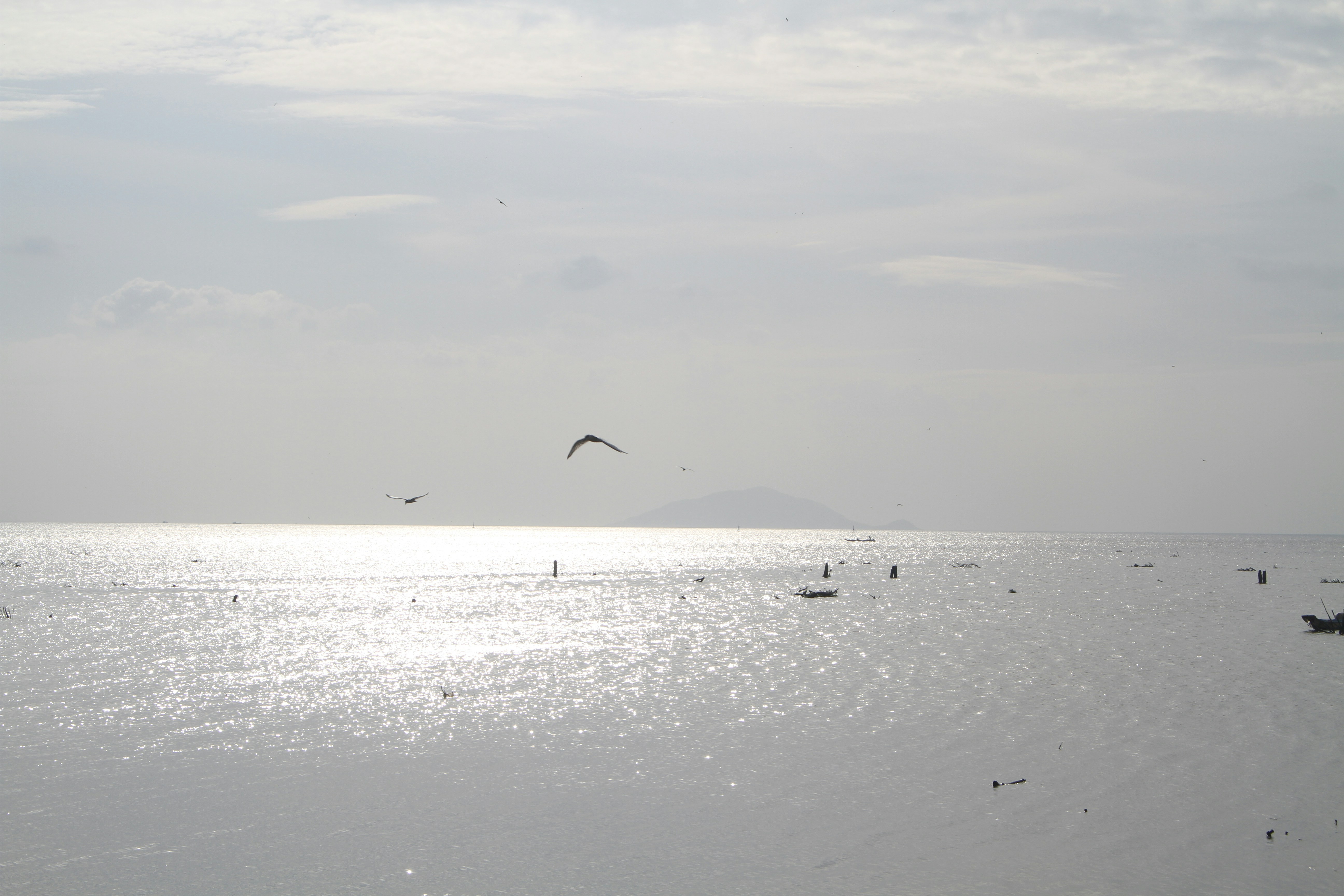 Photo by pnt
