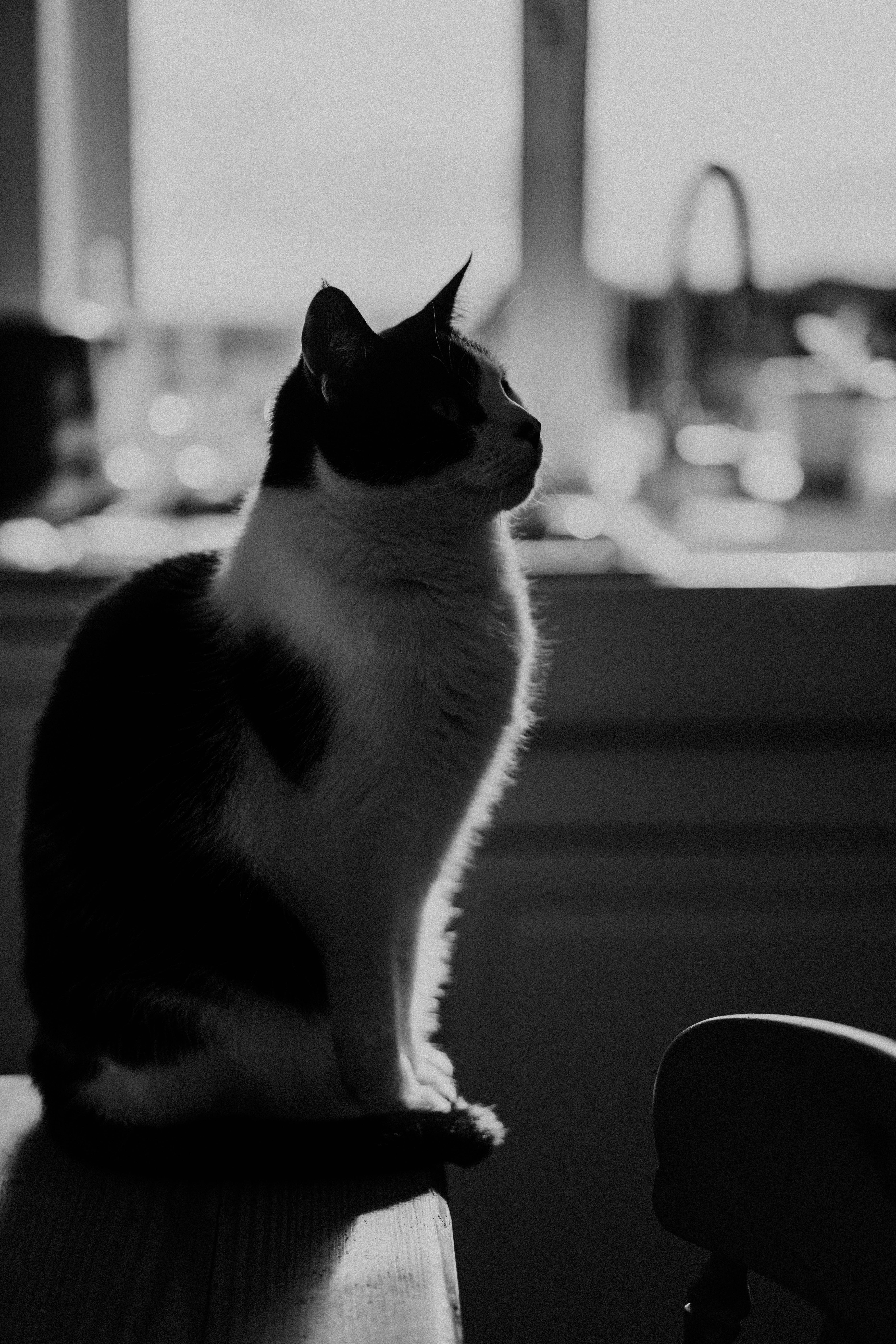 Photo by philhearing