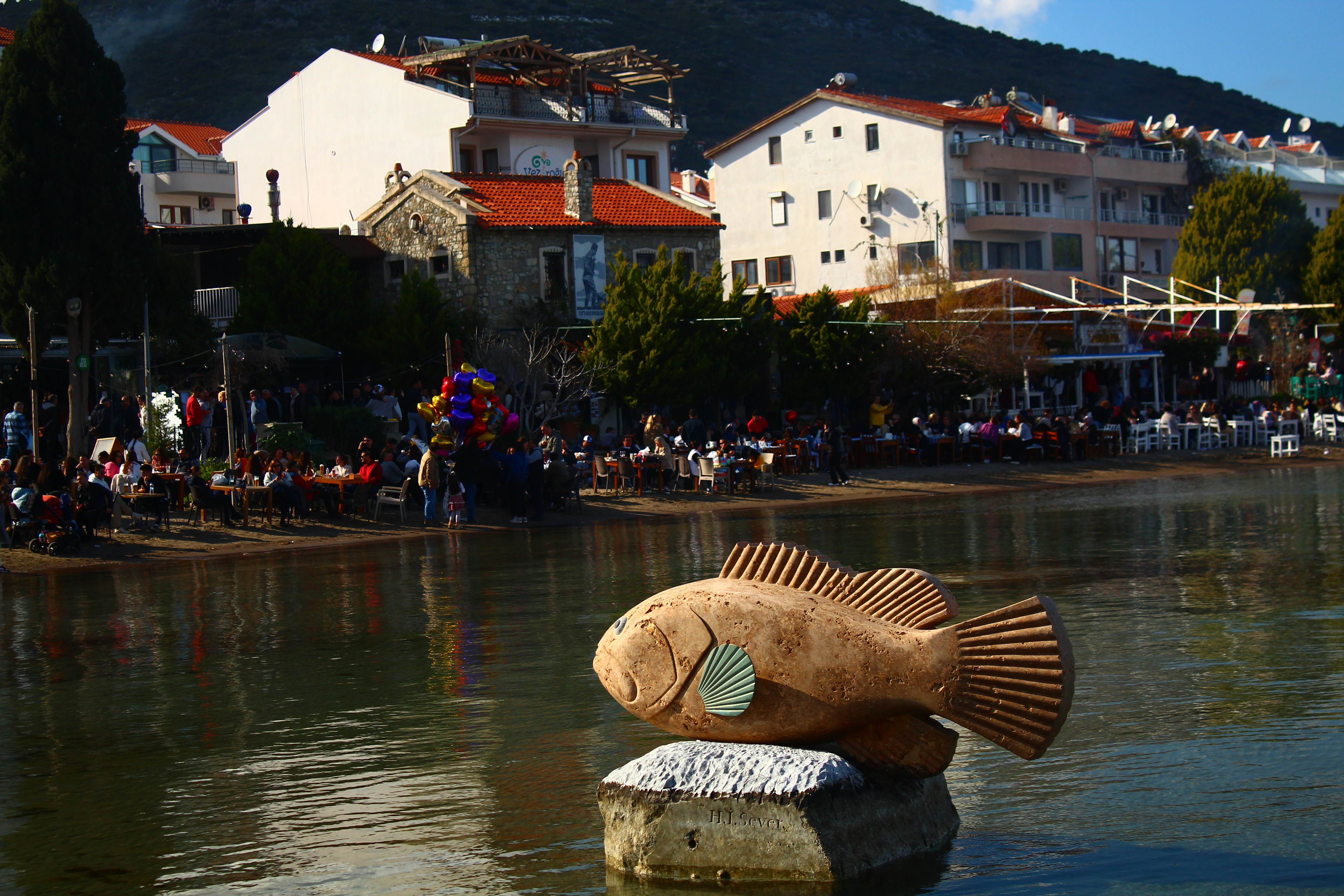 Image by Seval Torun via Unsplash