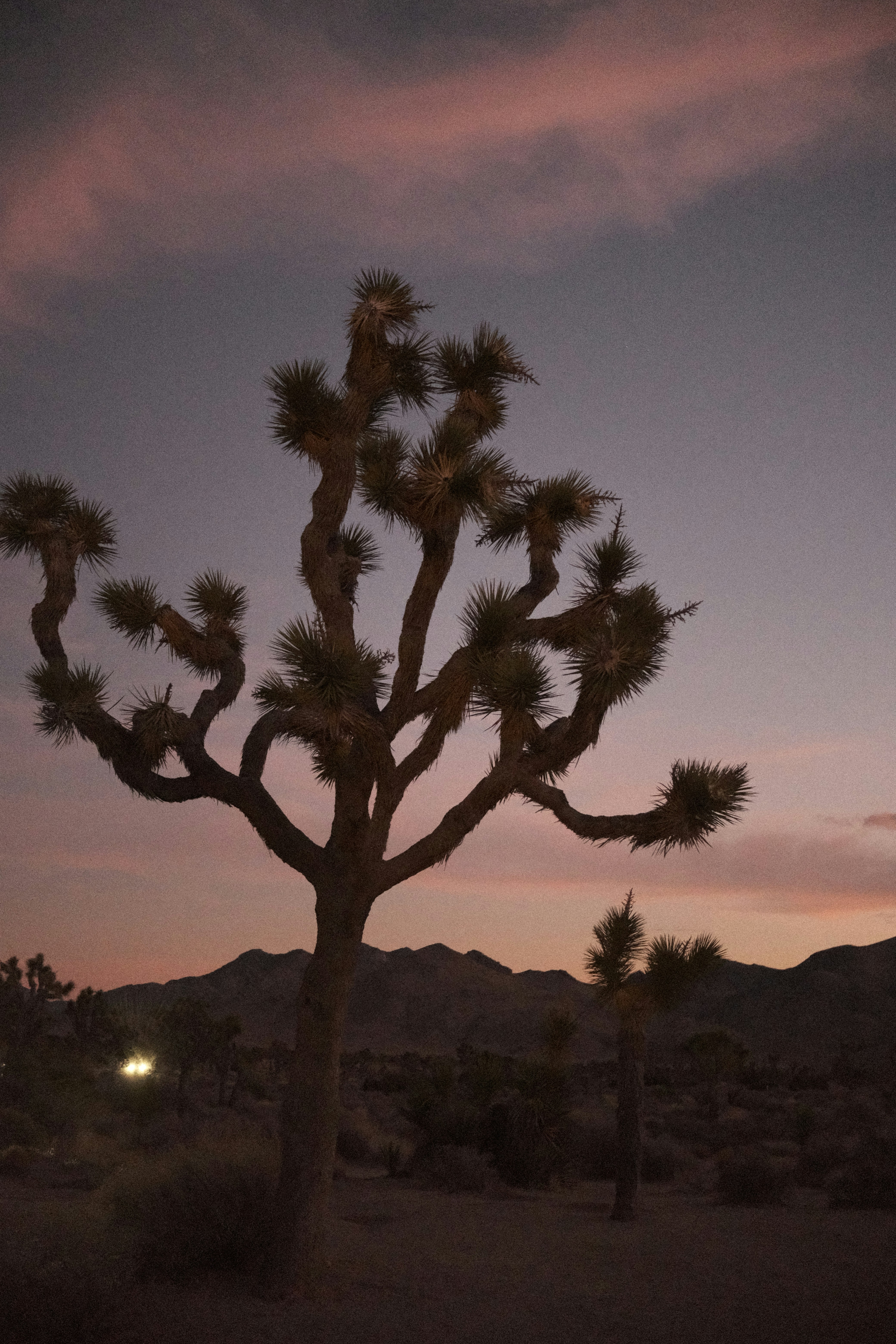 Photo by starryeyedjv