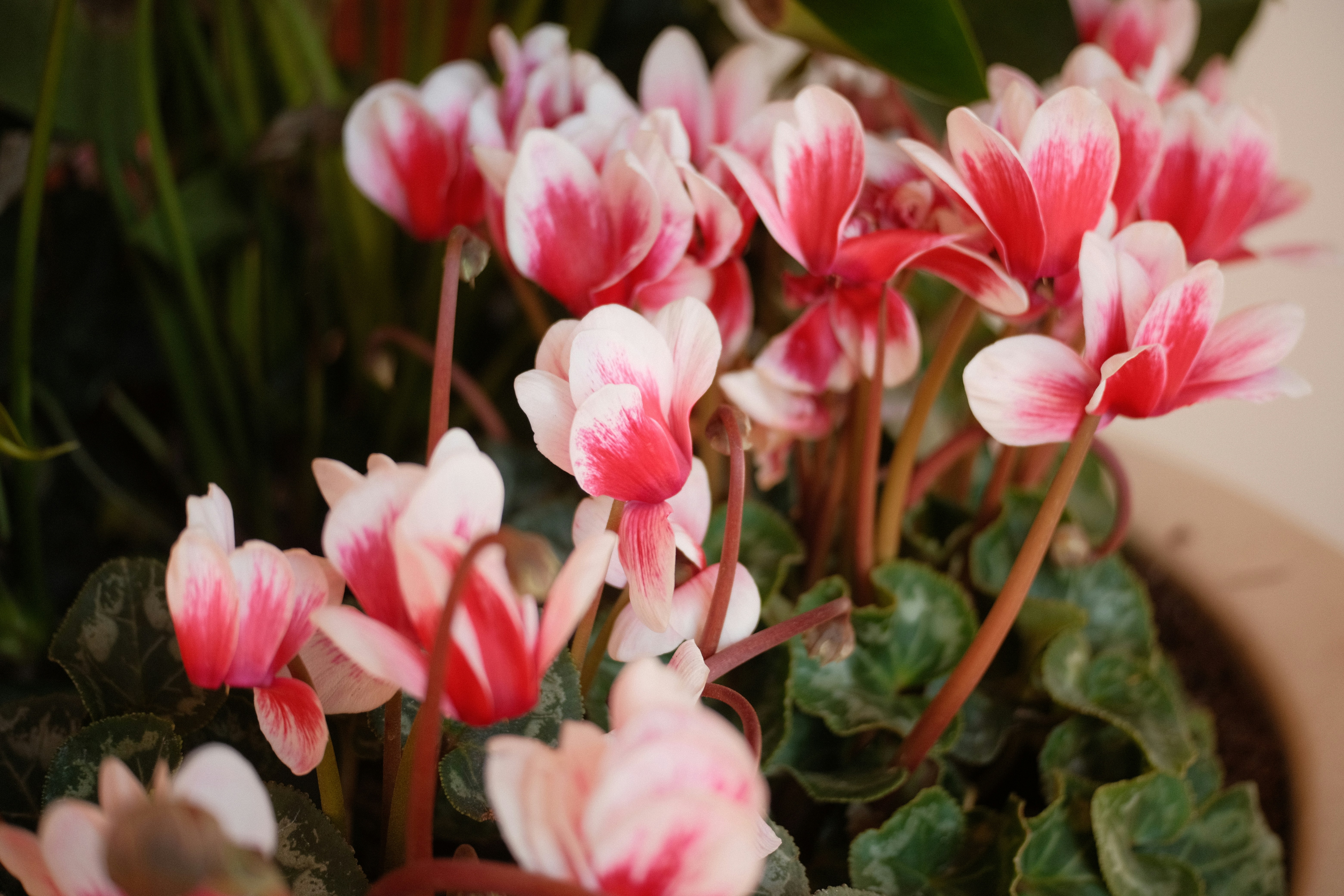 Photo by starryeyedjv