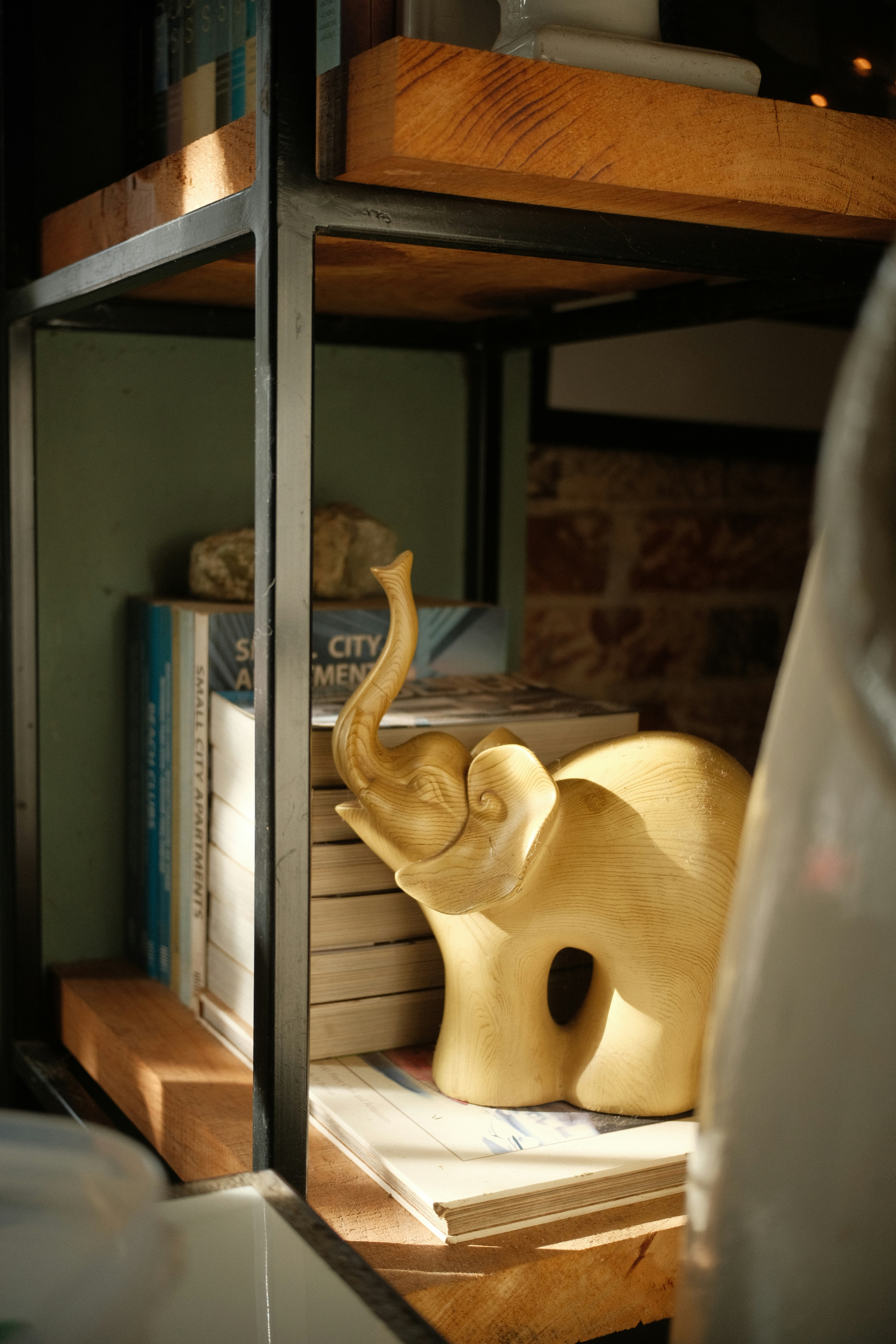 Photo by starryeyedjv