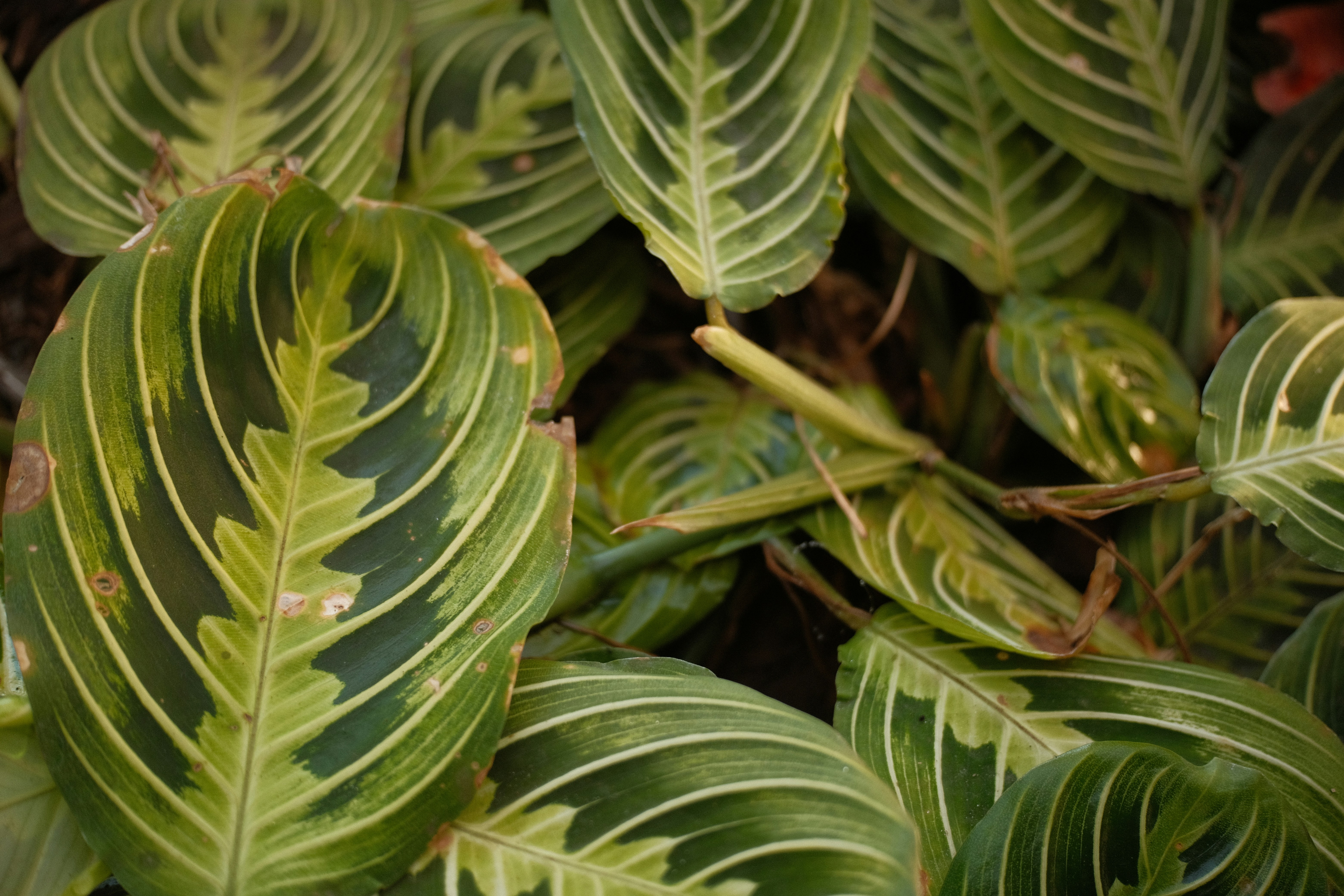 Photo by starryeyedjv