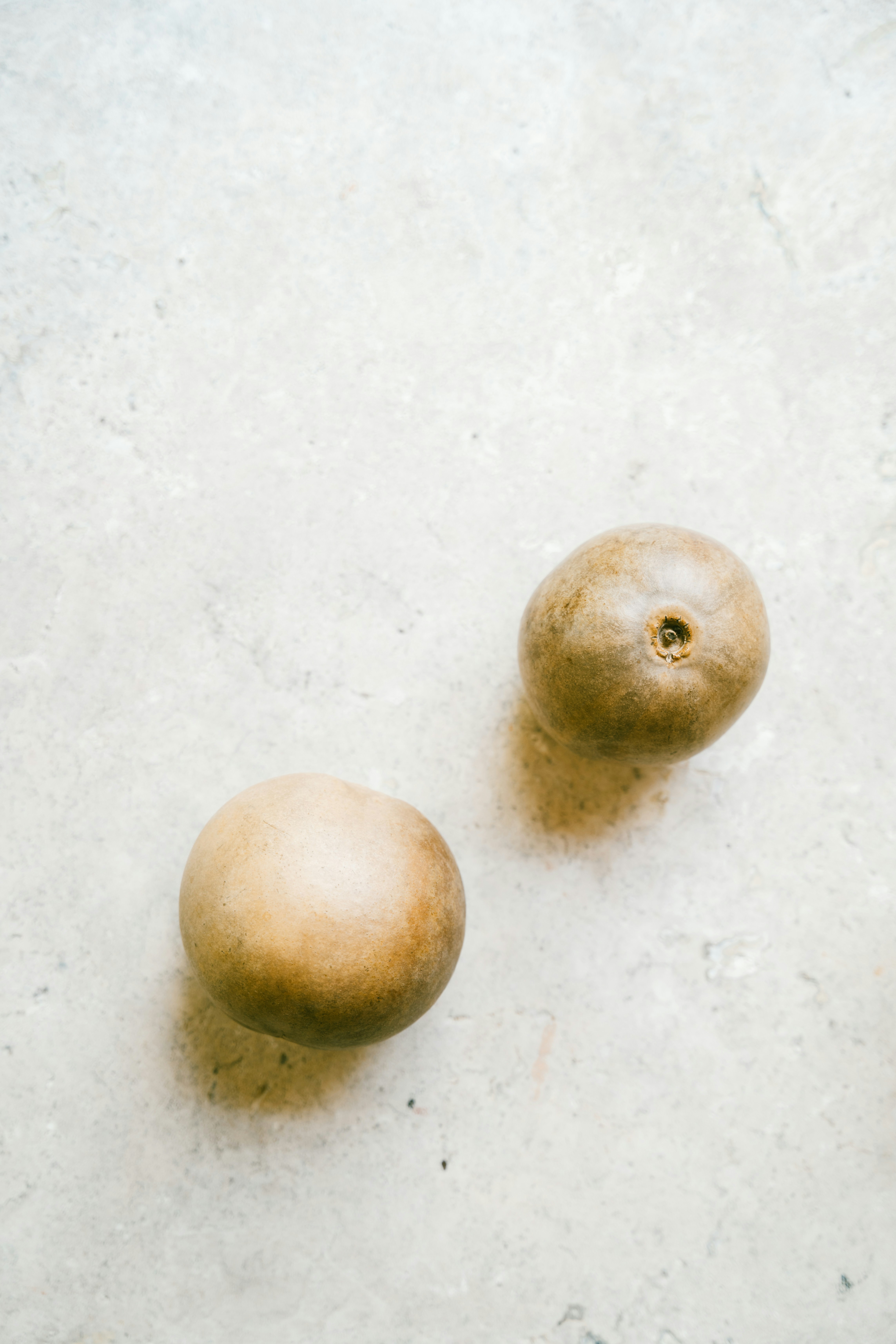 Photo by brunocervera