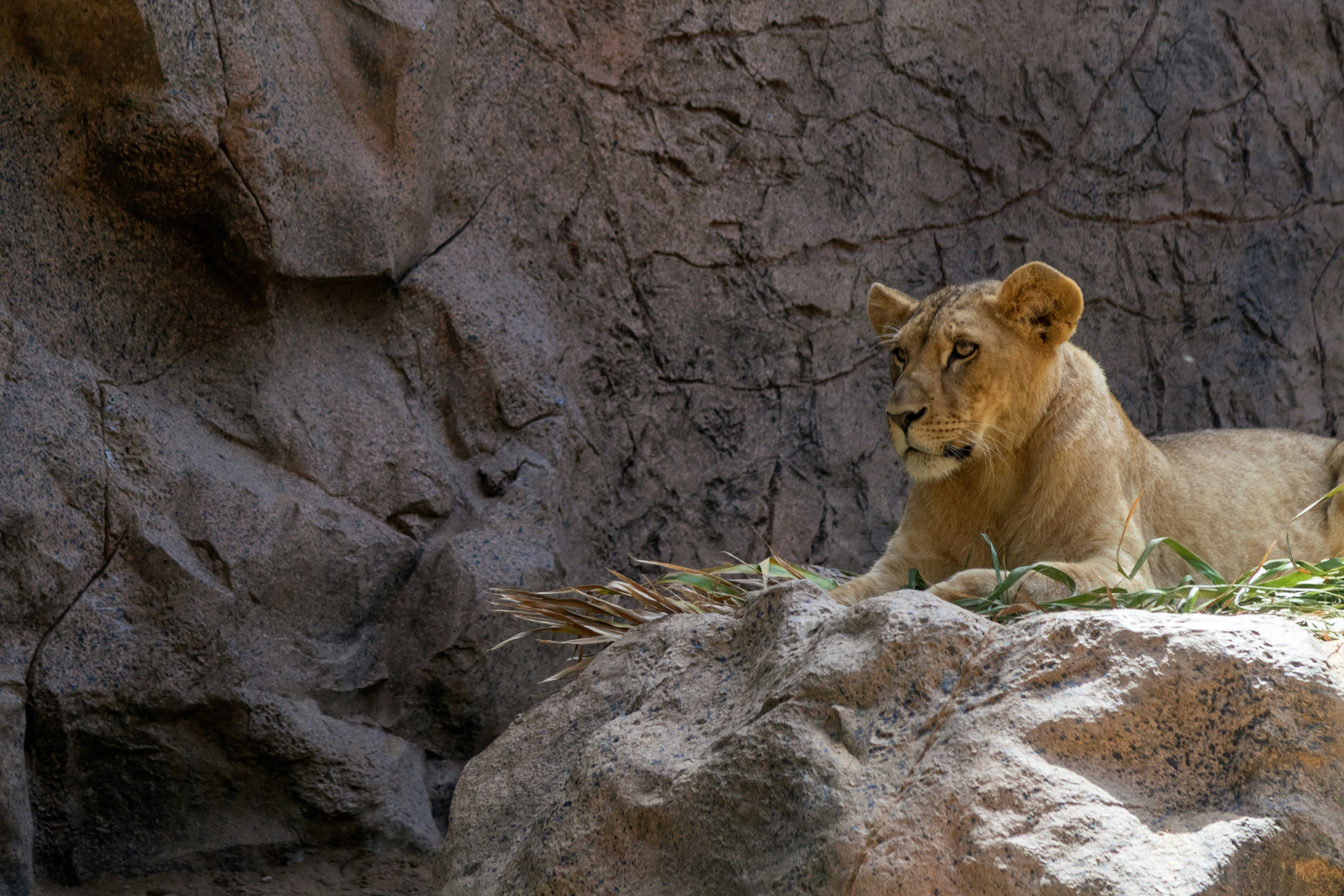 Photo by javier_balseiro