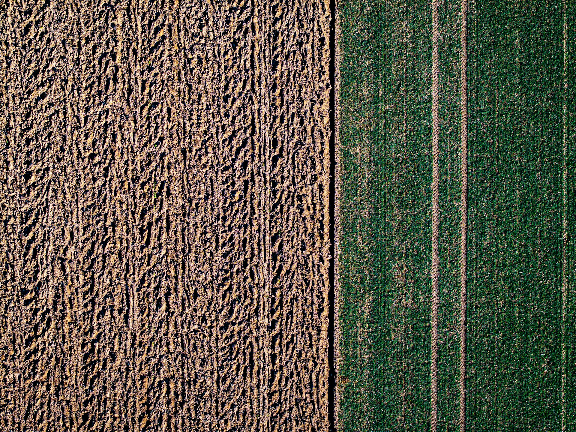 An aerial view of a farm field with a tractor in the middle of it