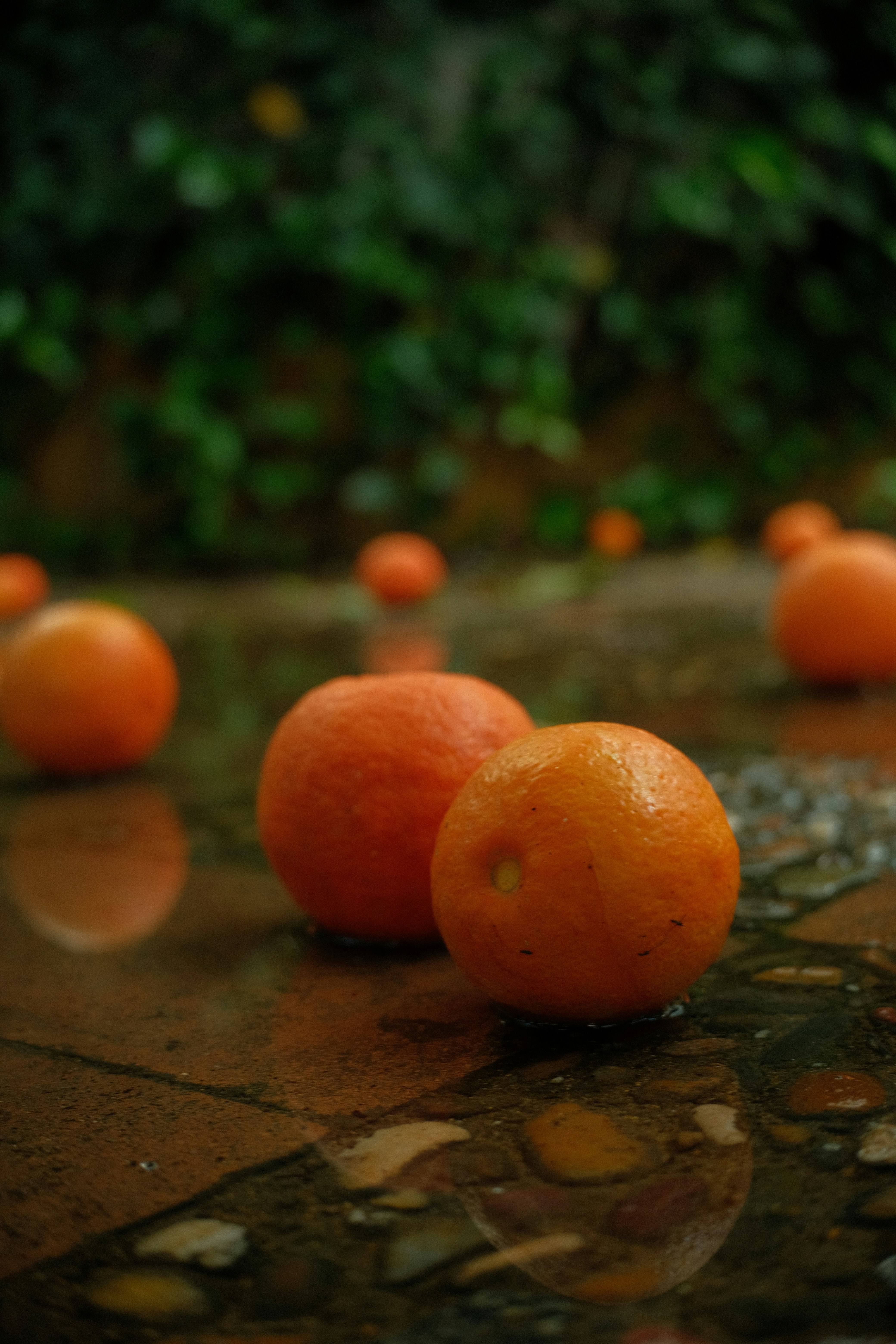 A group of oranges sitting on top of a table