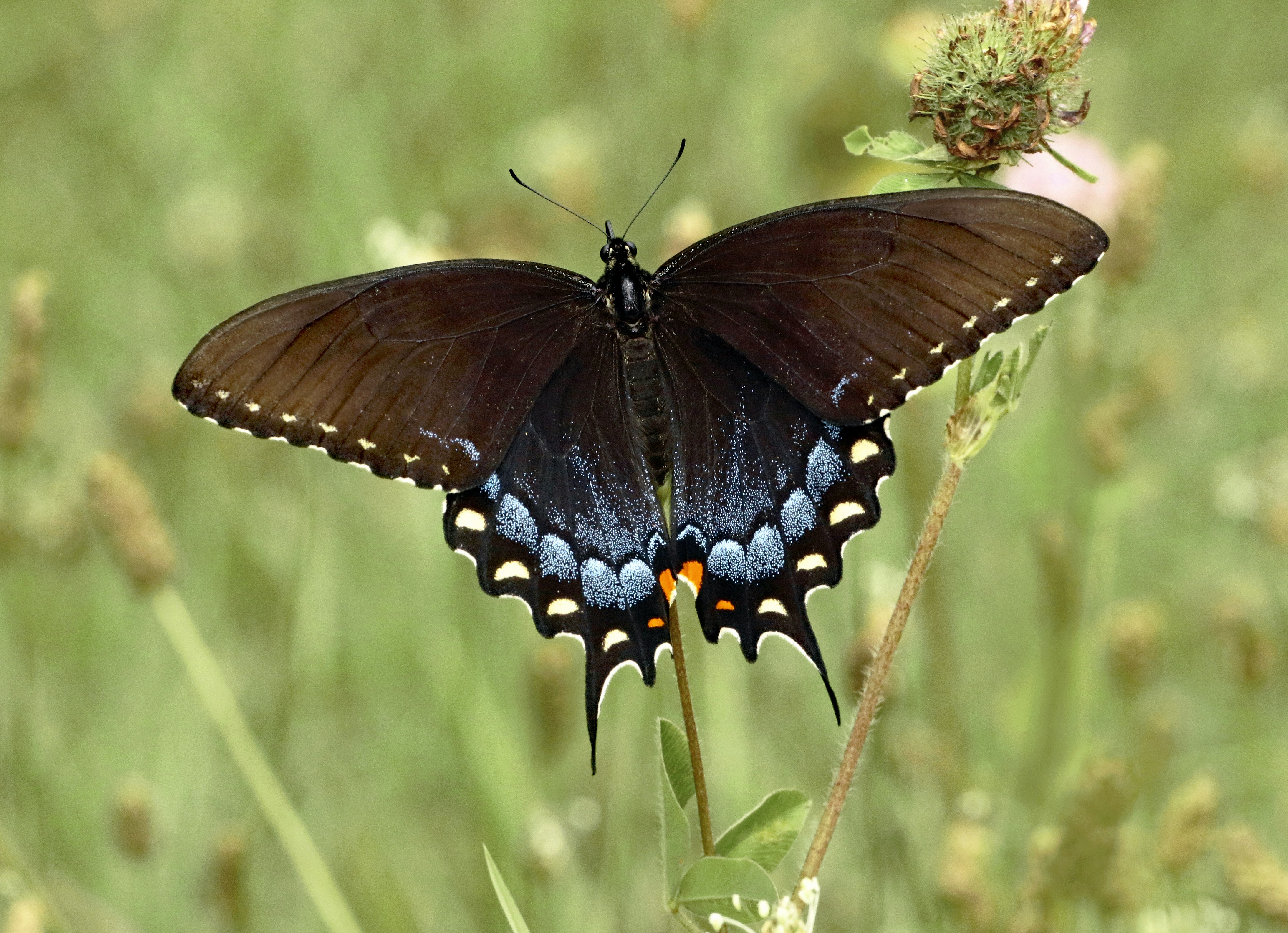 Photo by telliottmbamsc