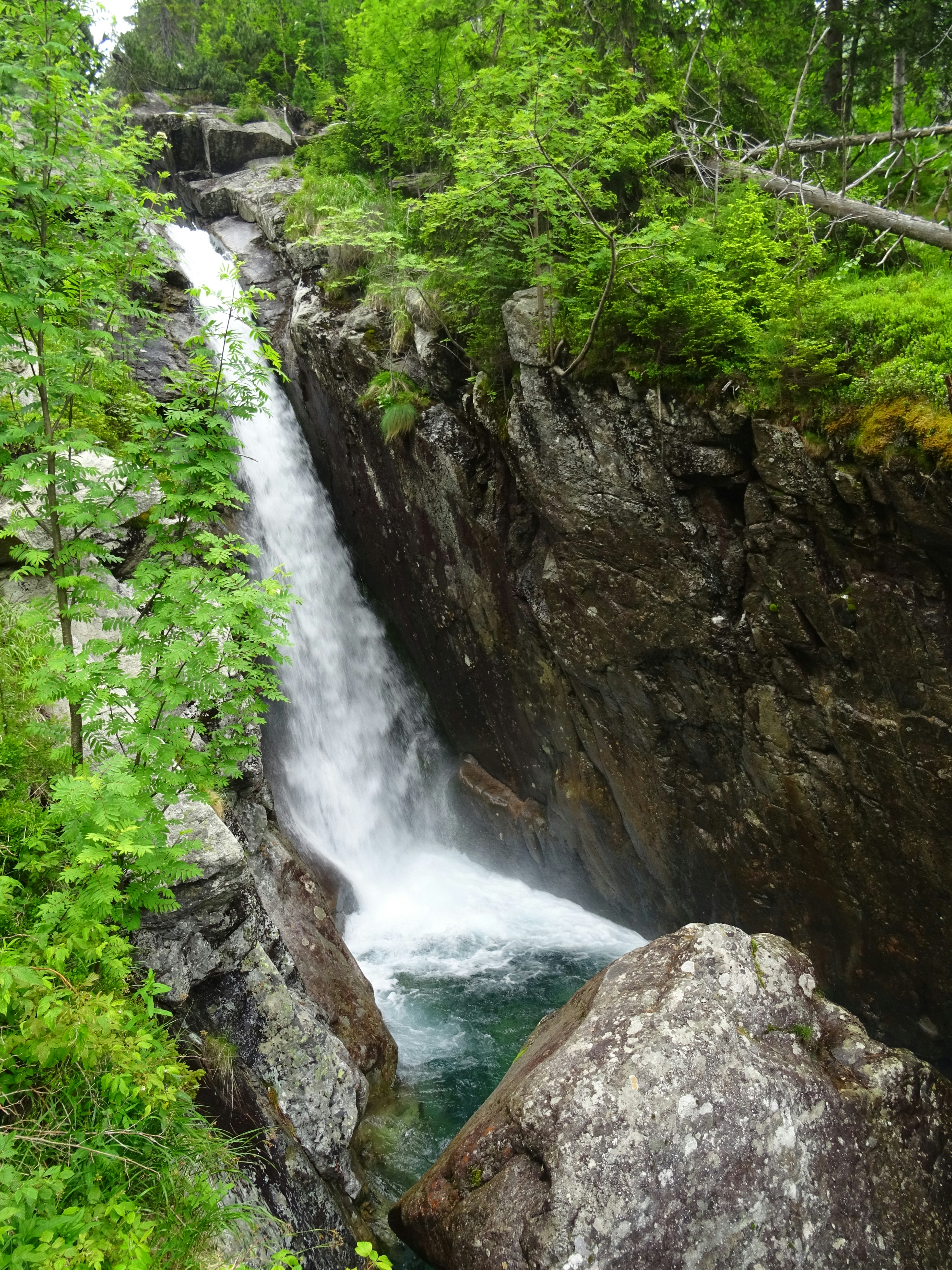 Photo by bluedemonpirates