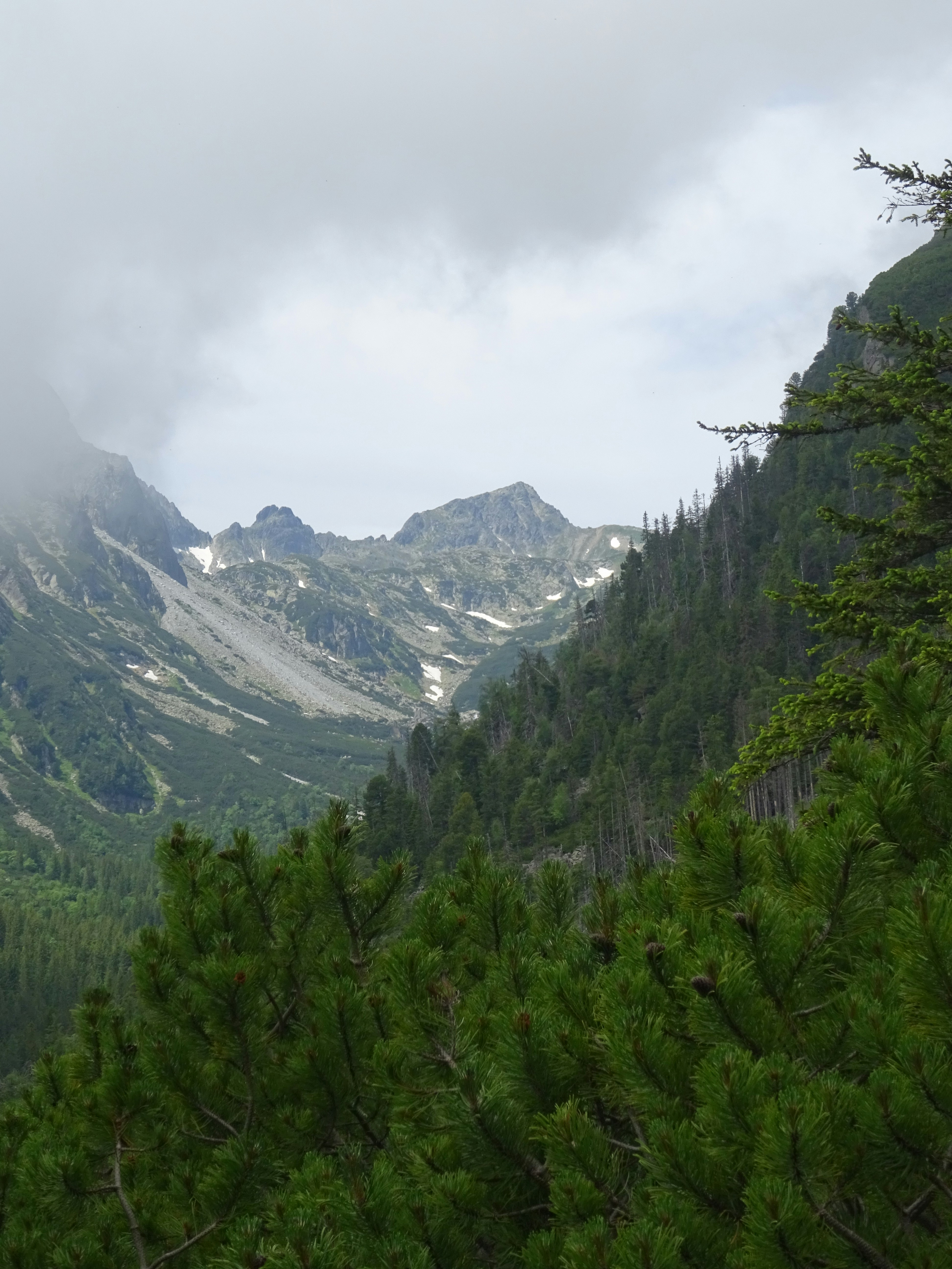 Photo by bluedemonpirates