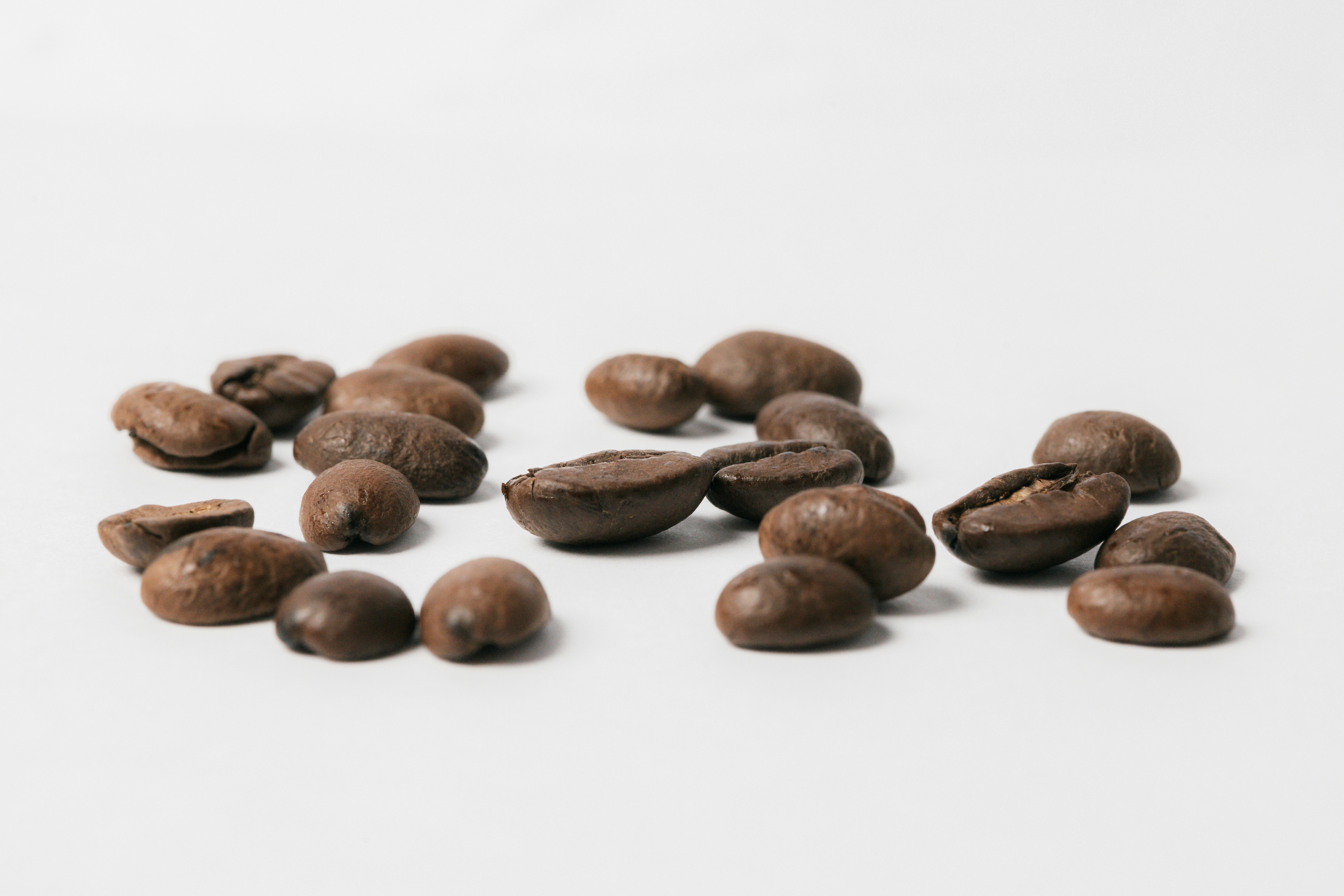 Photo by goosepicklefire