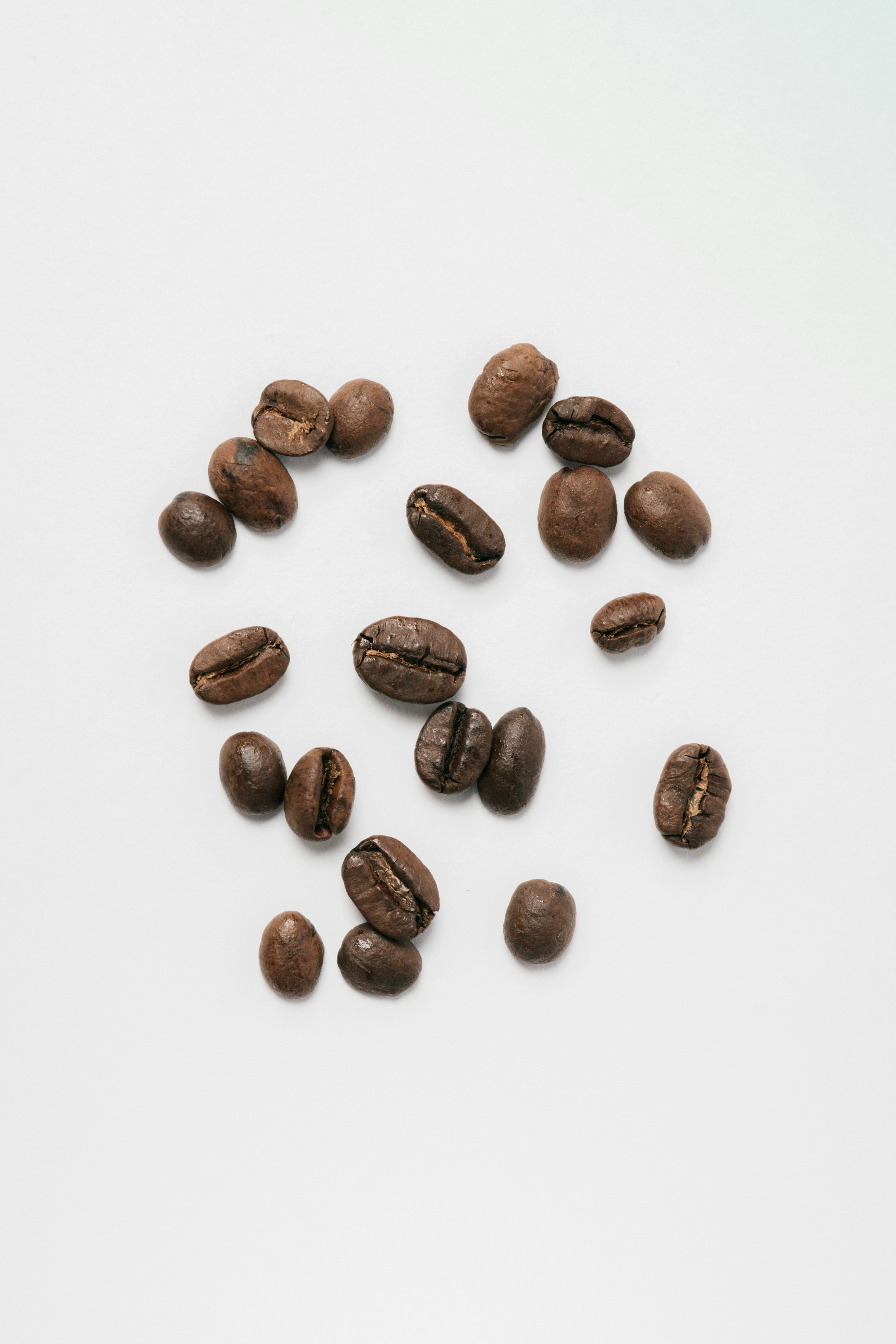 Photo by goosepicklefire