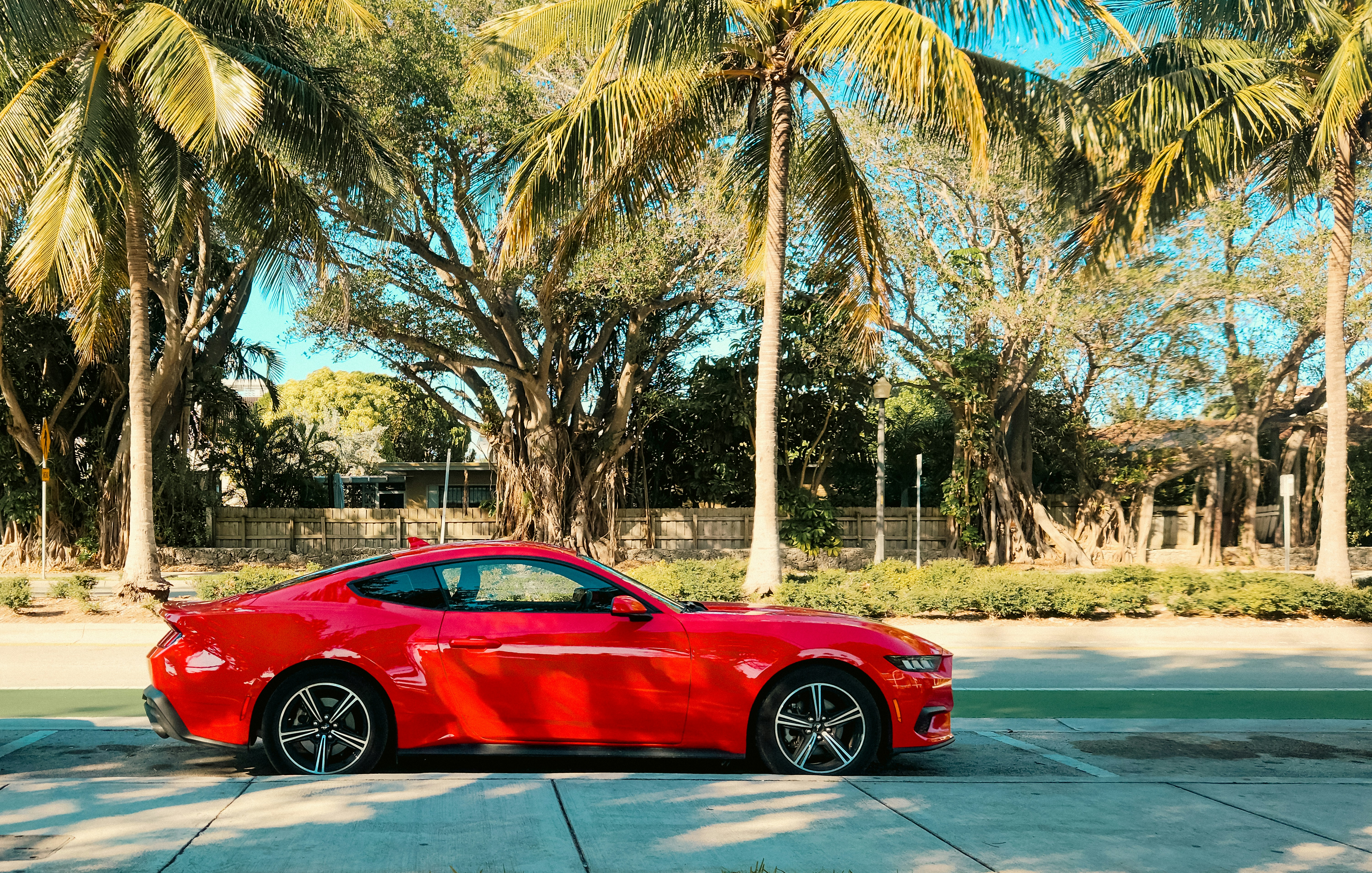 Photo by zoshuacolah