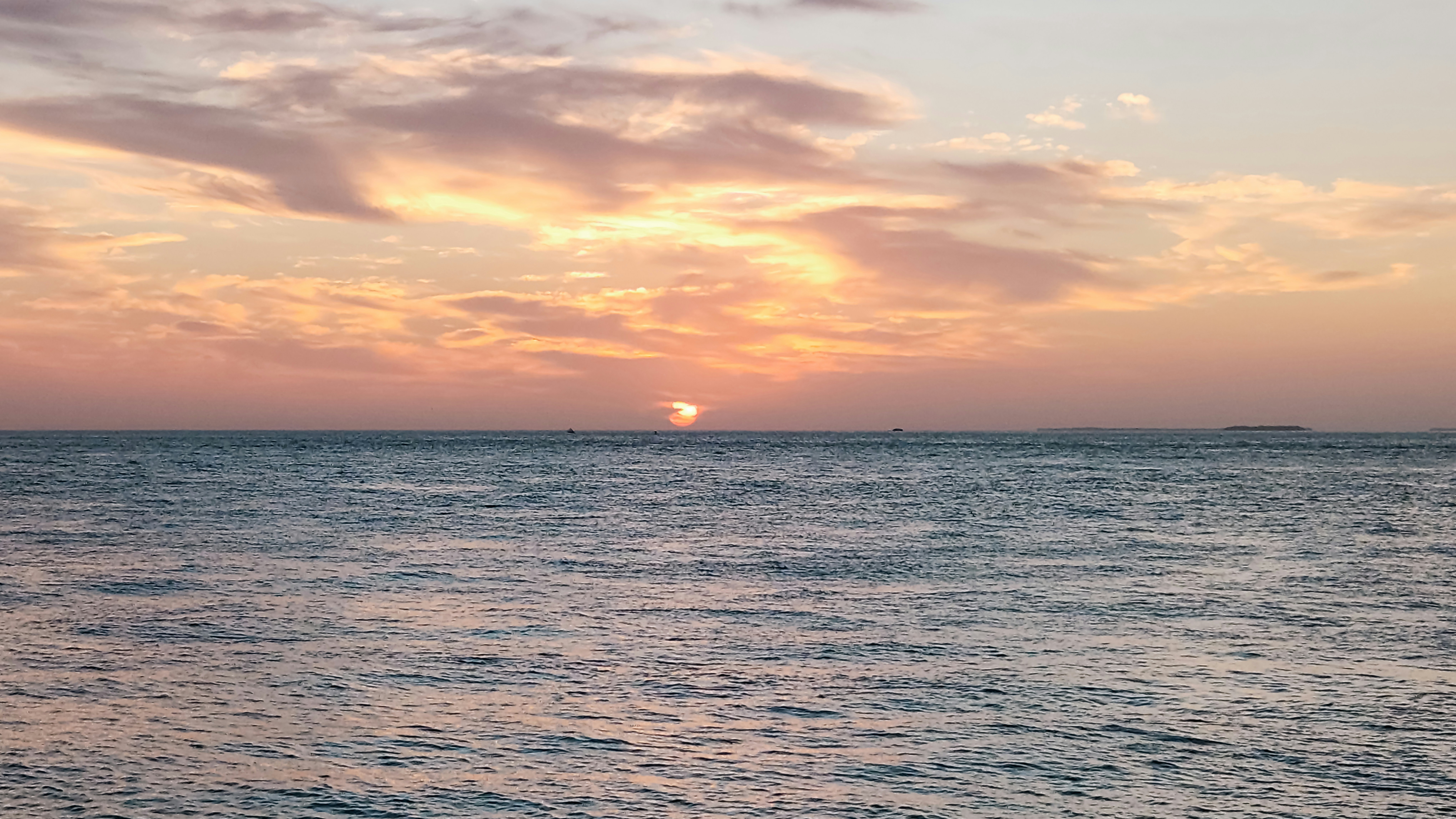 Photo by zoshuacolah