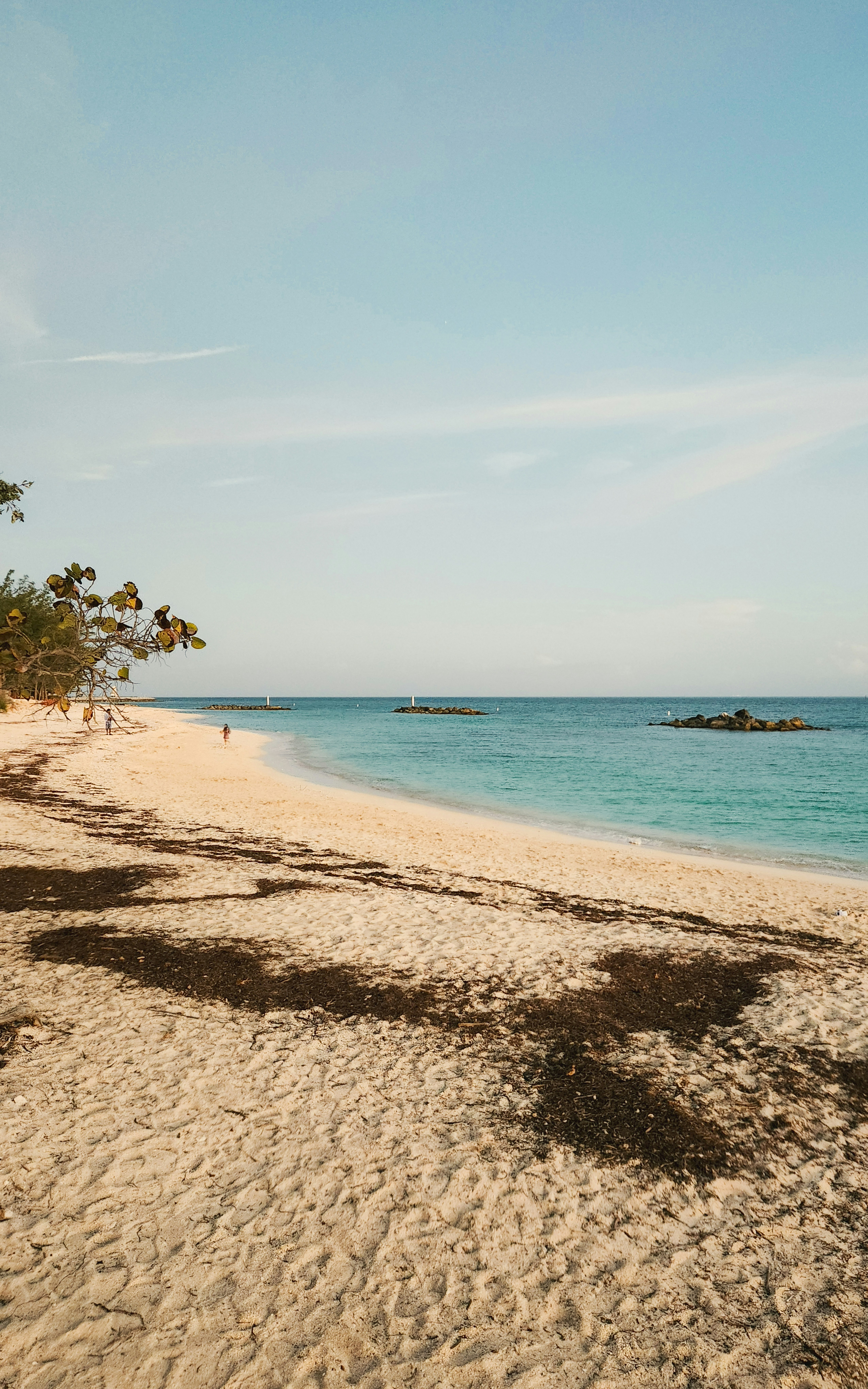 Photo by zoshuacolah