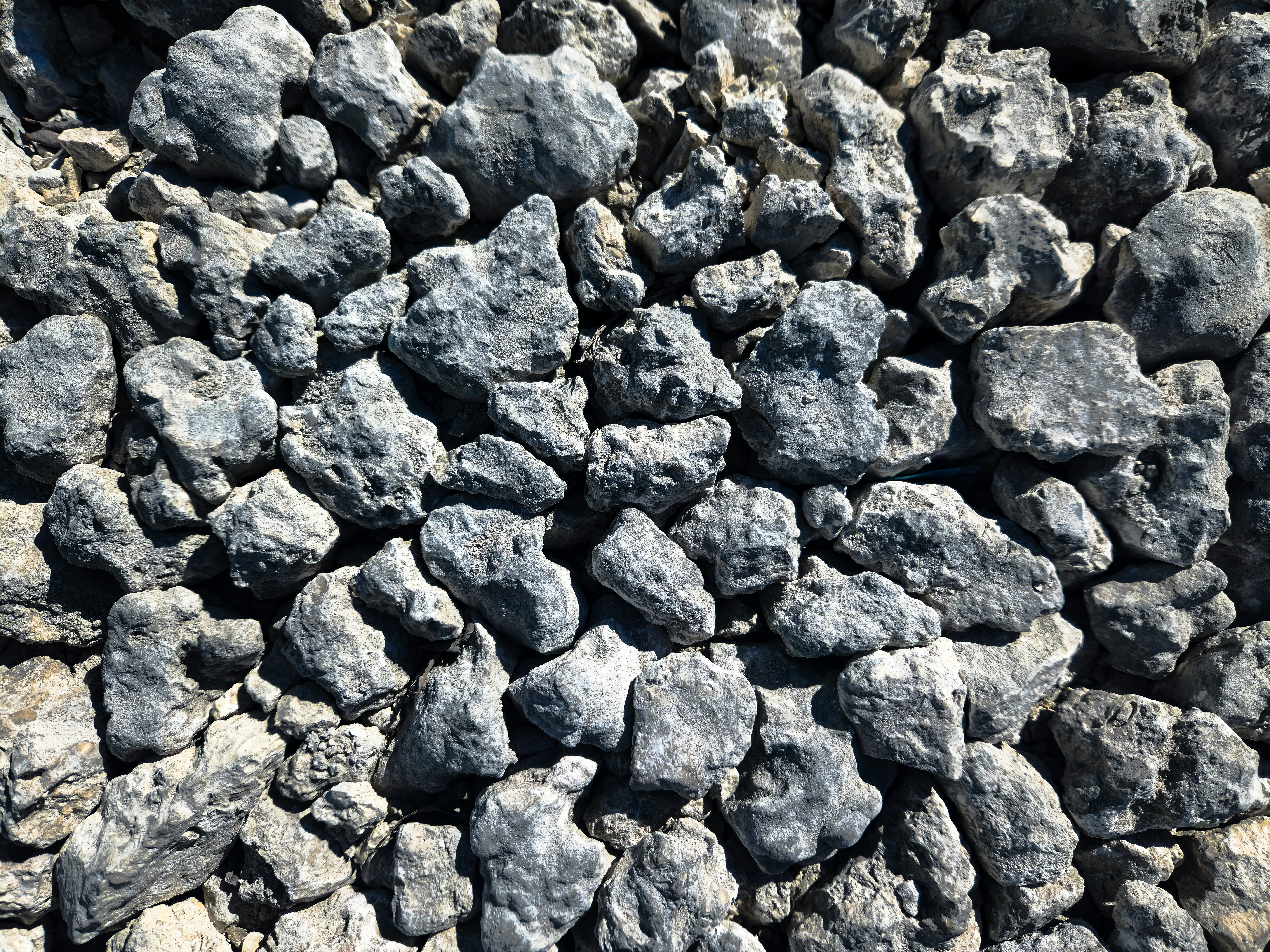 Photo by zoshuacolah