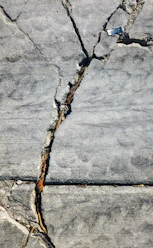 A crack in a rock wall with a small bird perched on top of it