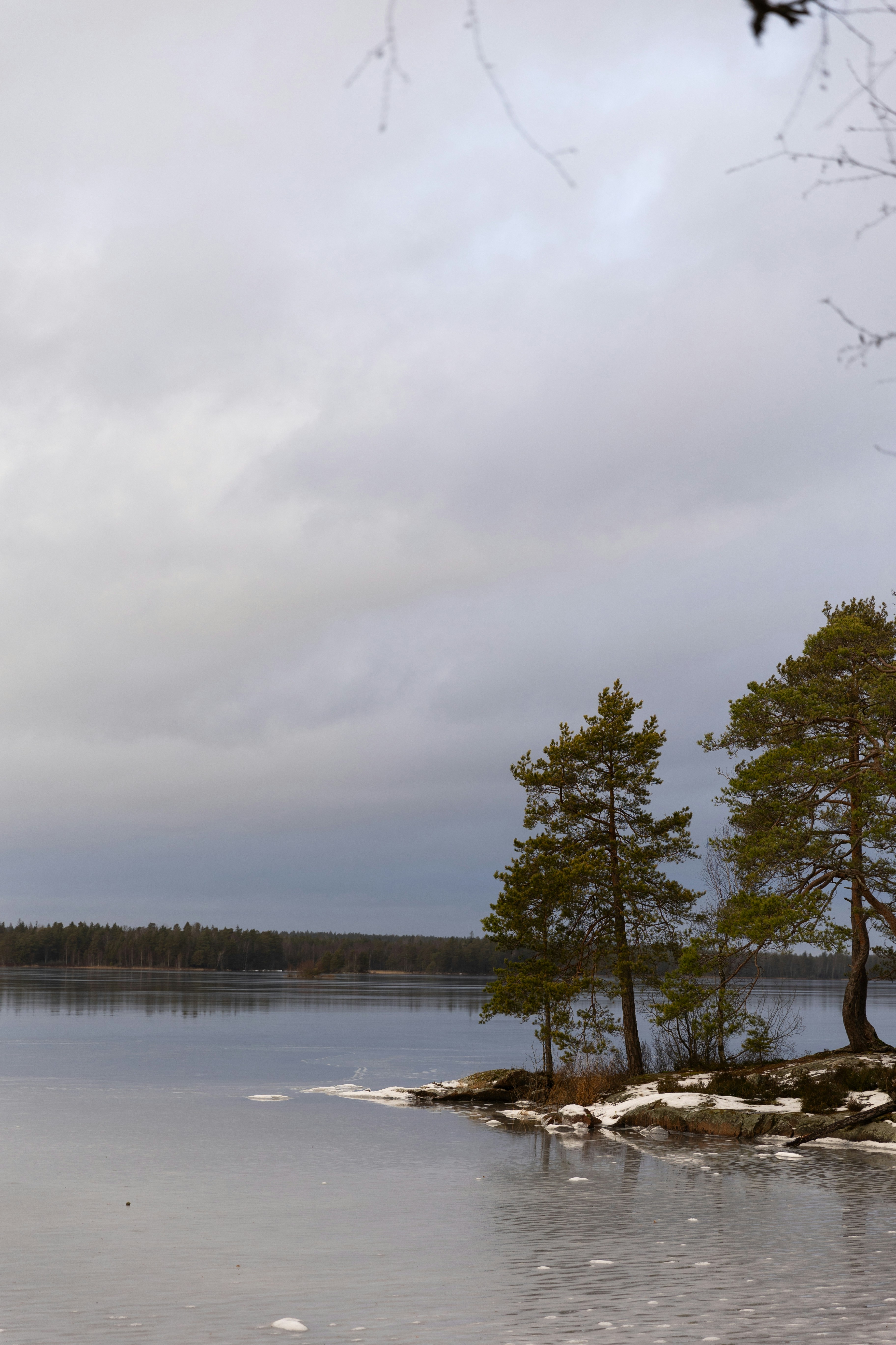 Photo by einfachlaurenz