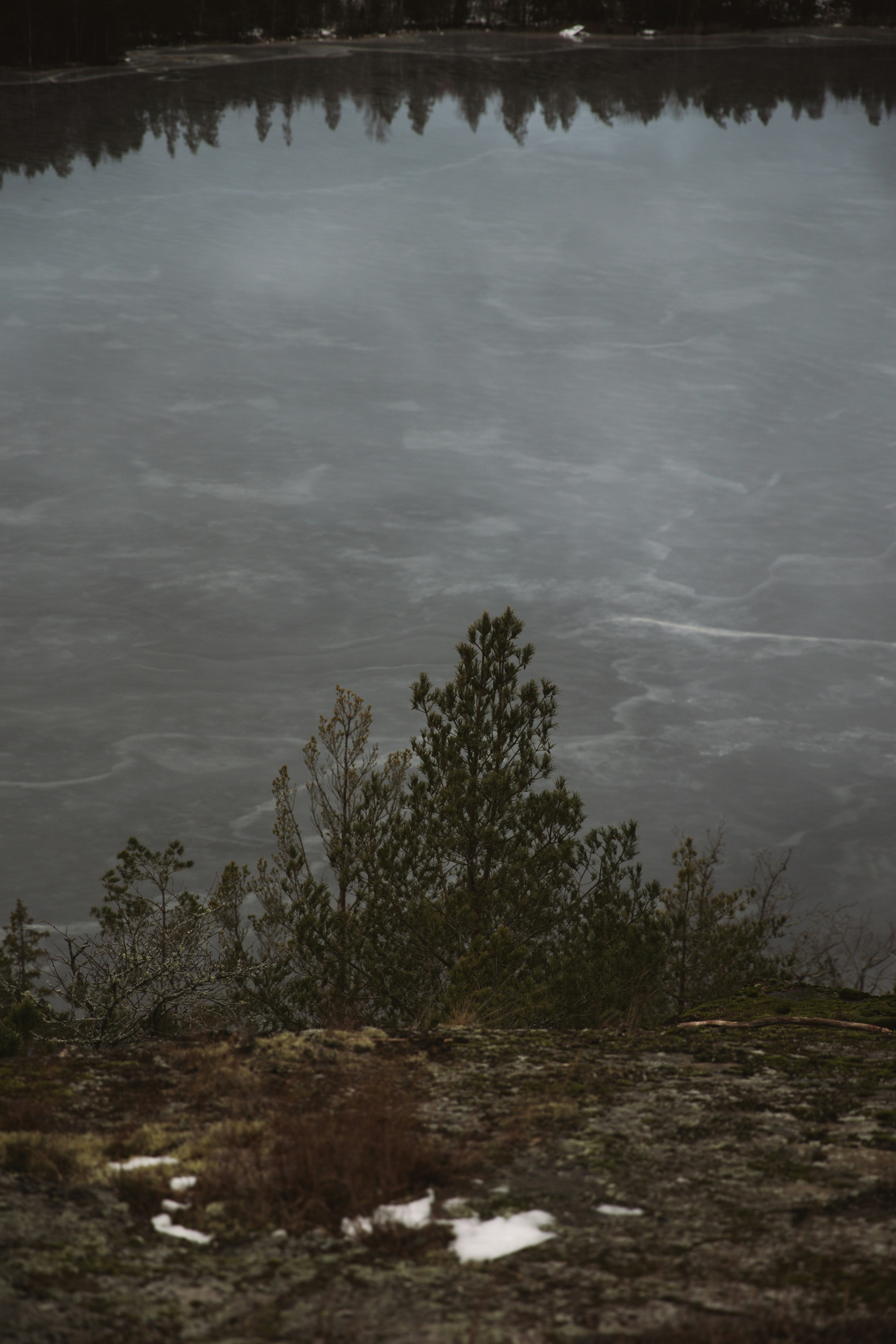 Un hombre de pie en la orilla de un lago sosteniendo un frisbee