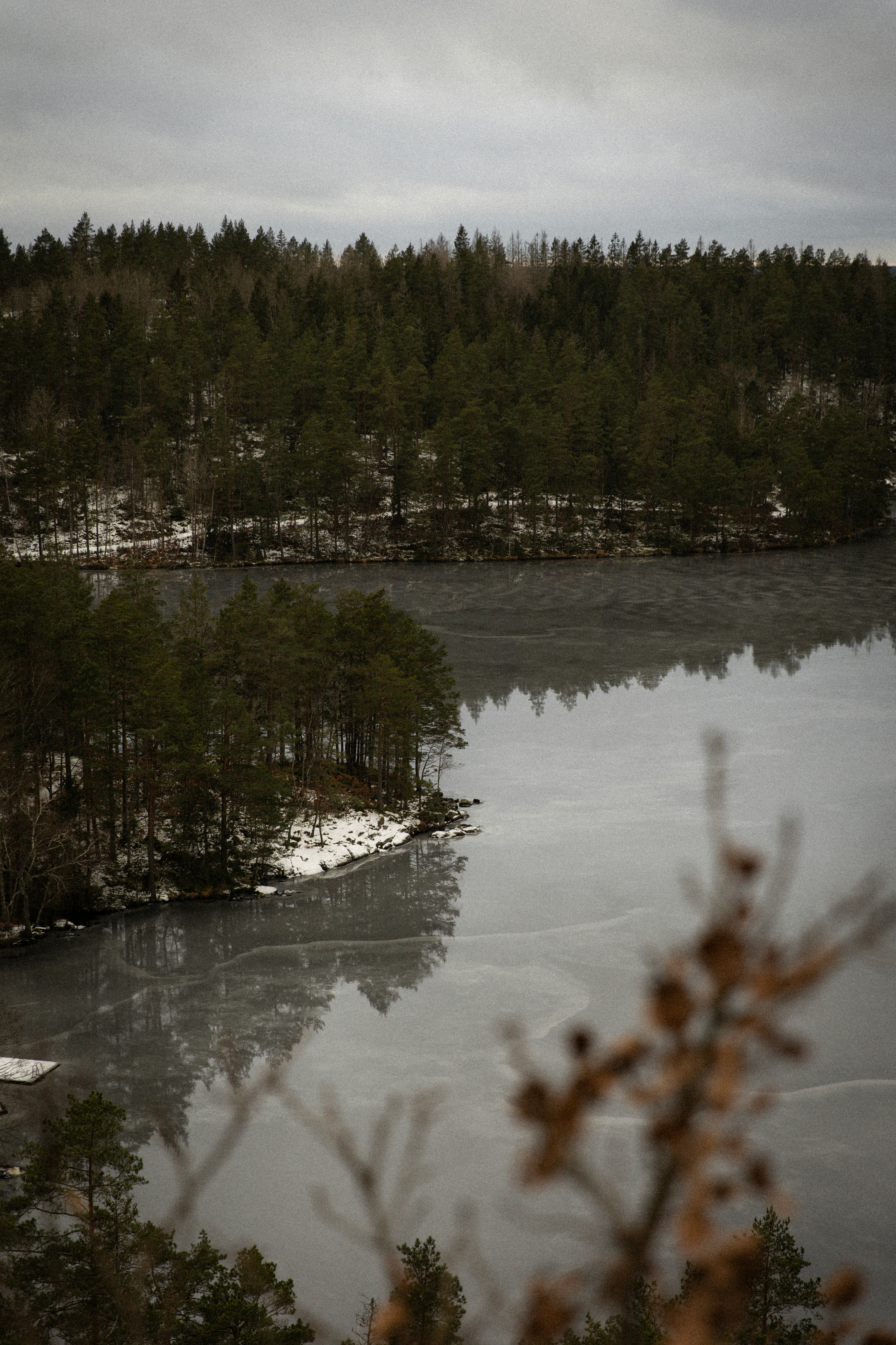 Un cuerpo de agua rodeado de árboles y nieve