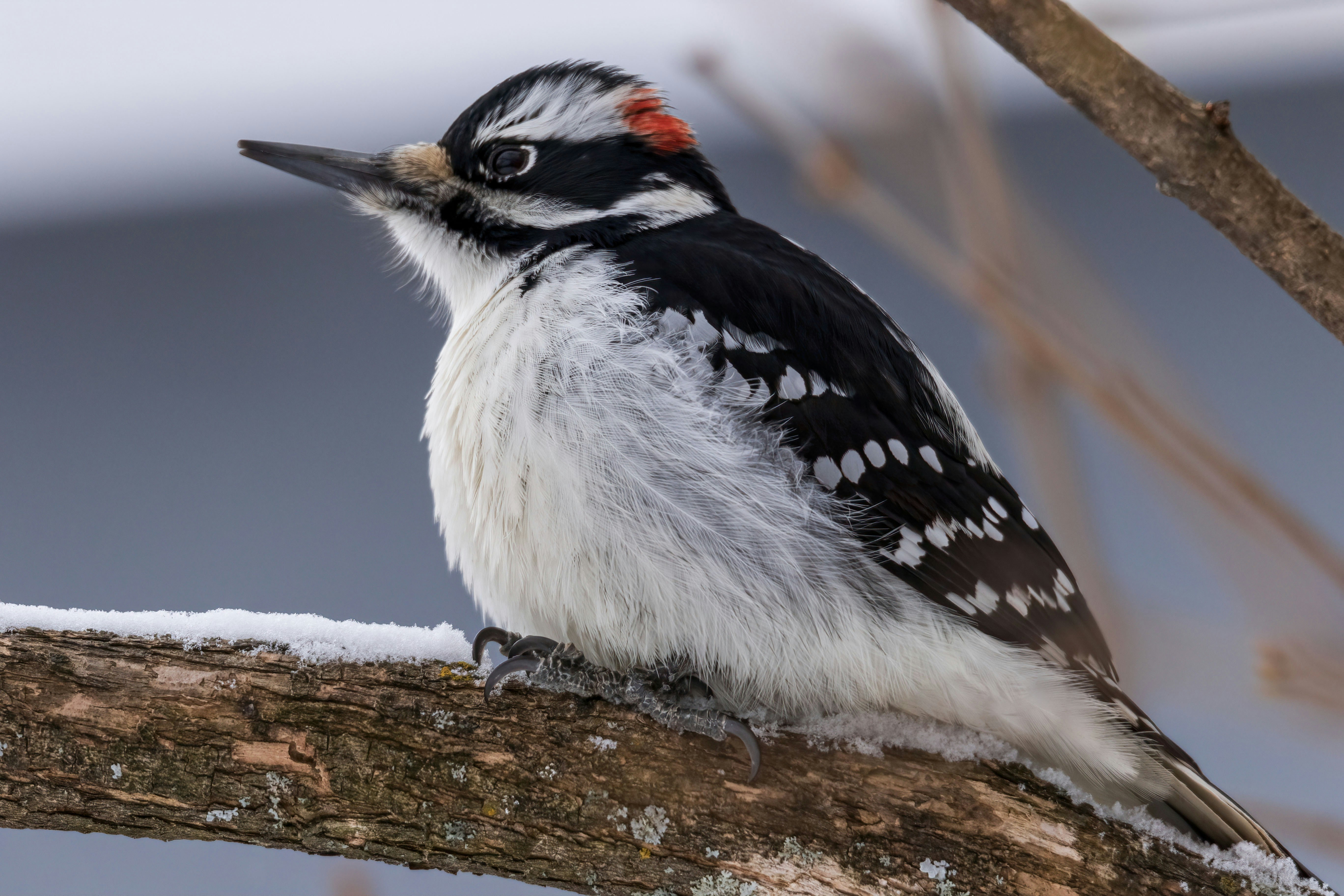 Photo by camerauthor