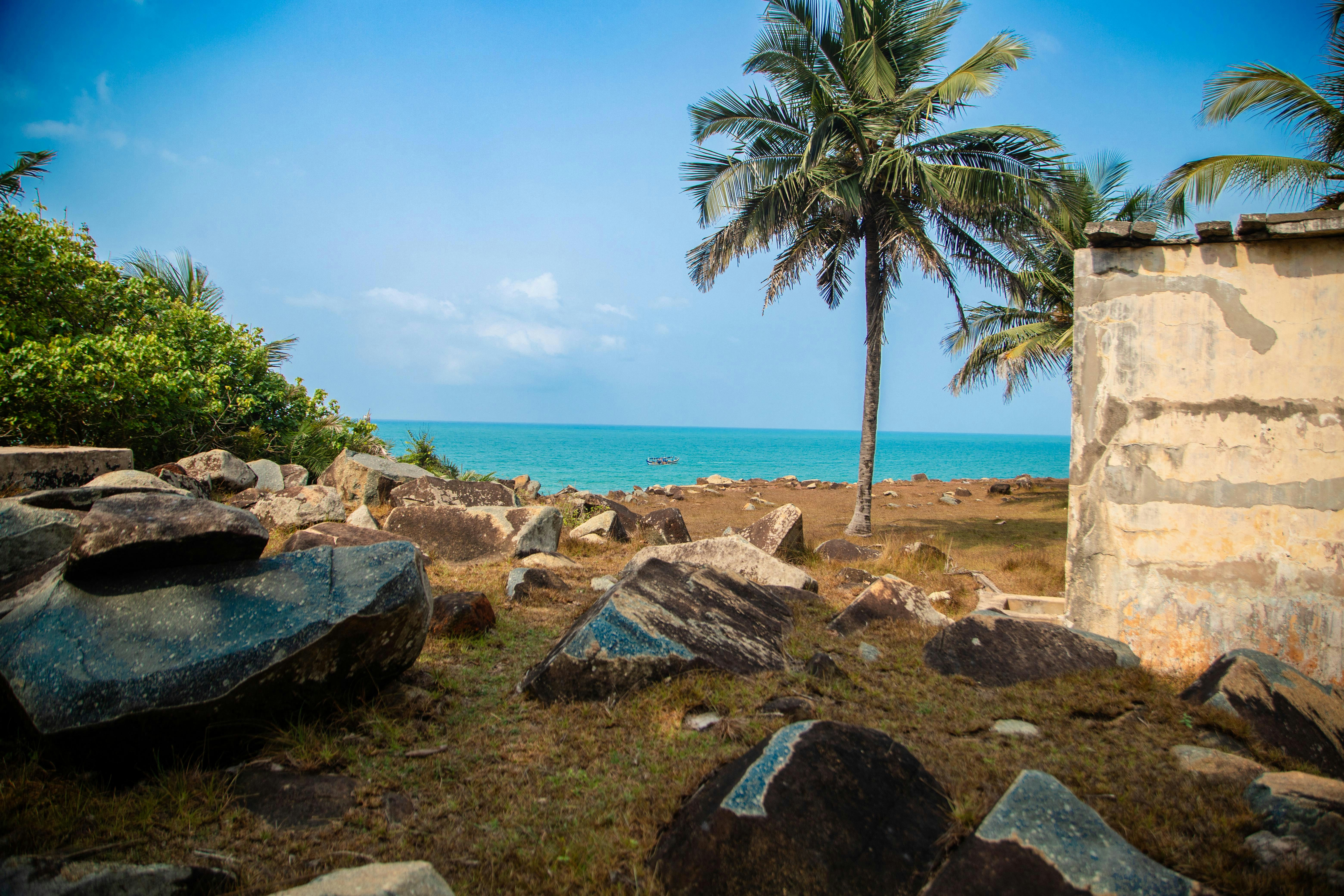 A view of a beach with palm trees and rocks