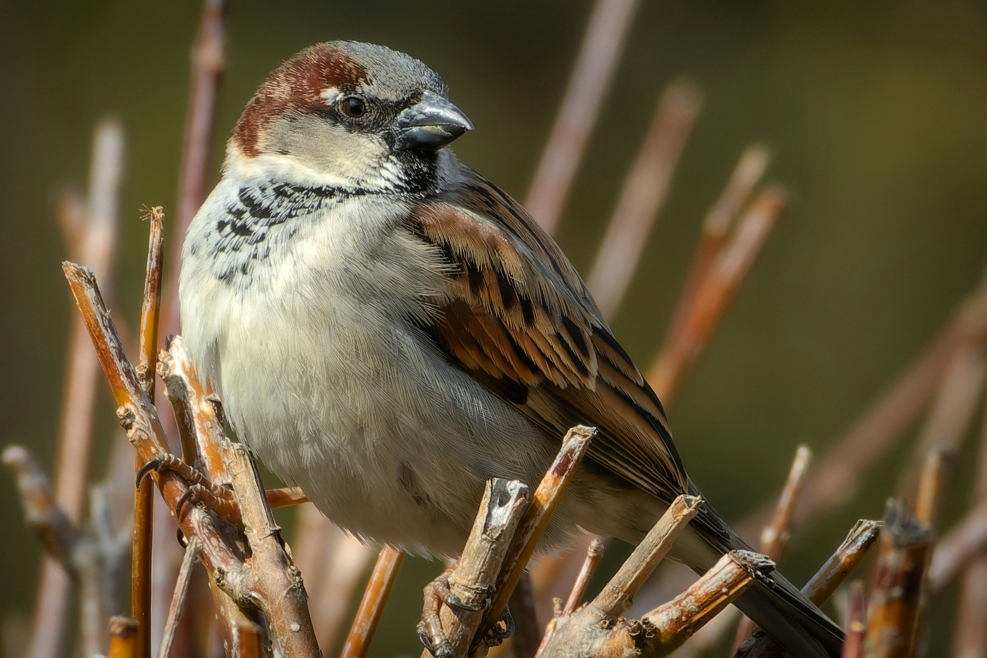 Photo by peterbbryan