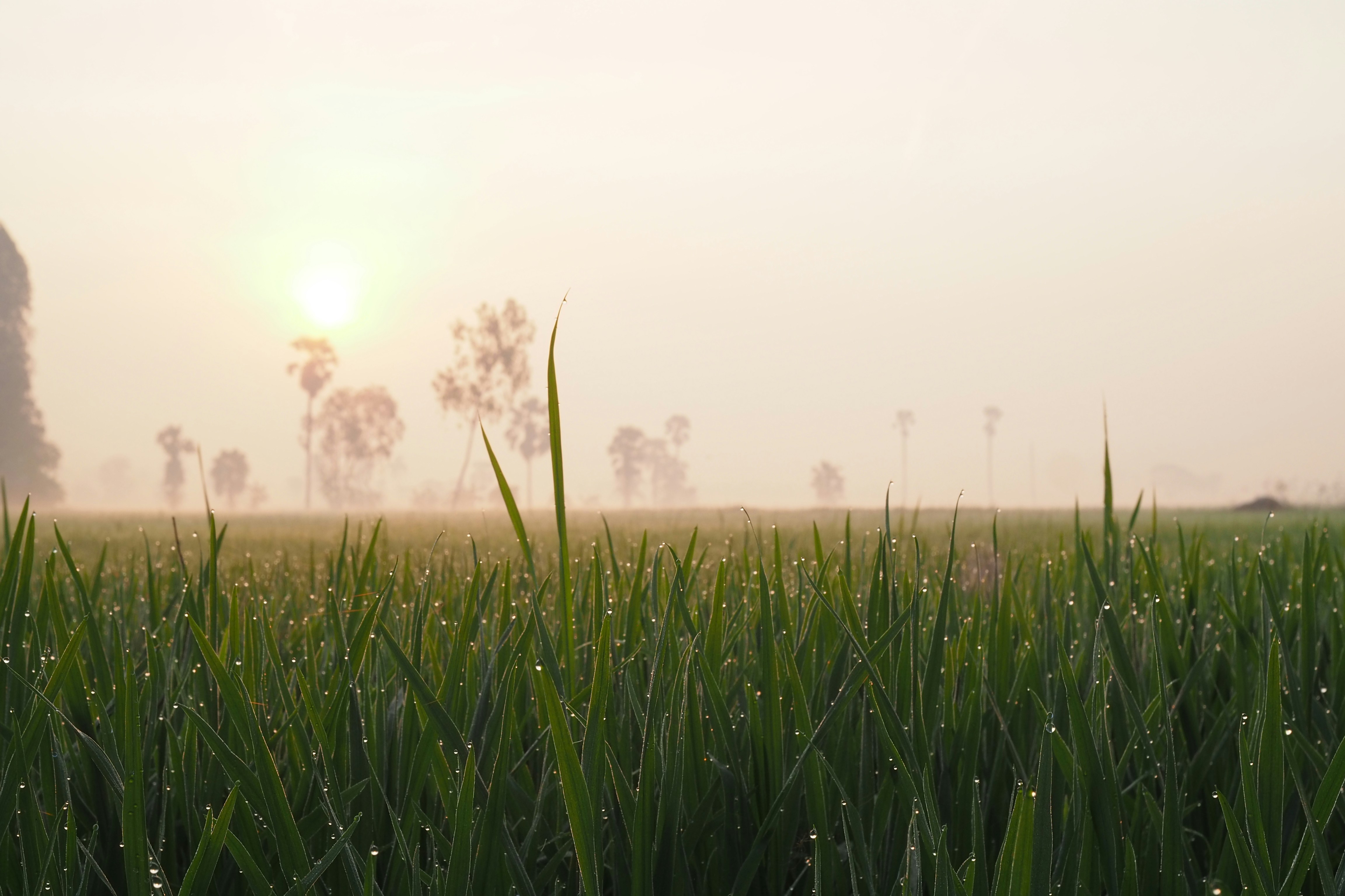 Photo by kenggoesaround