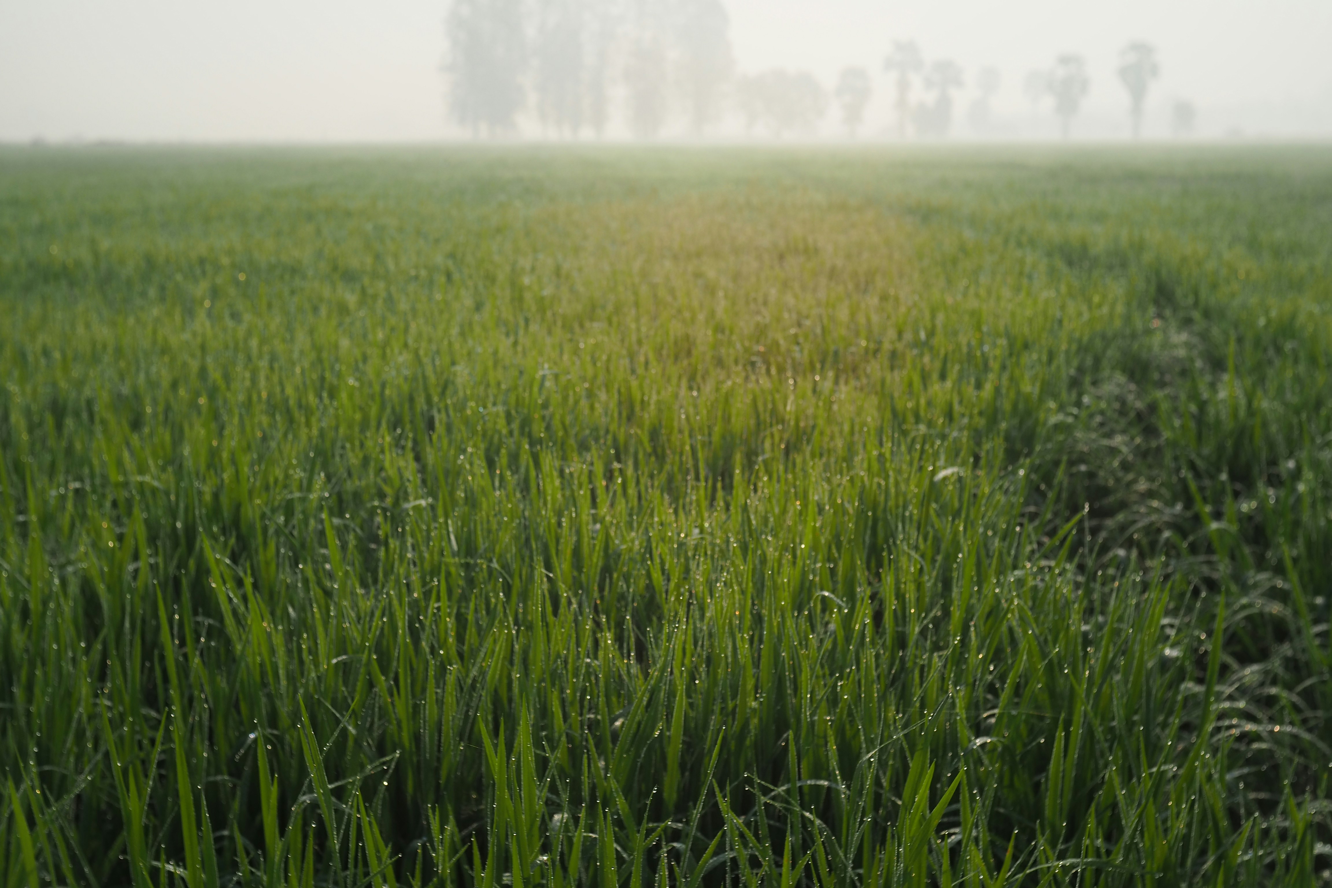 Photo by kenggoesaround