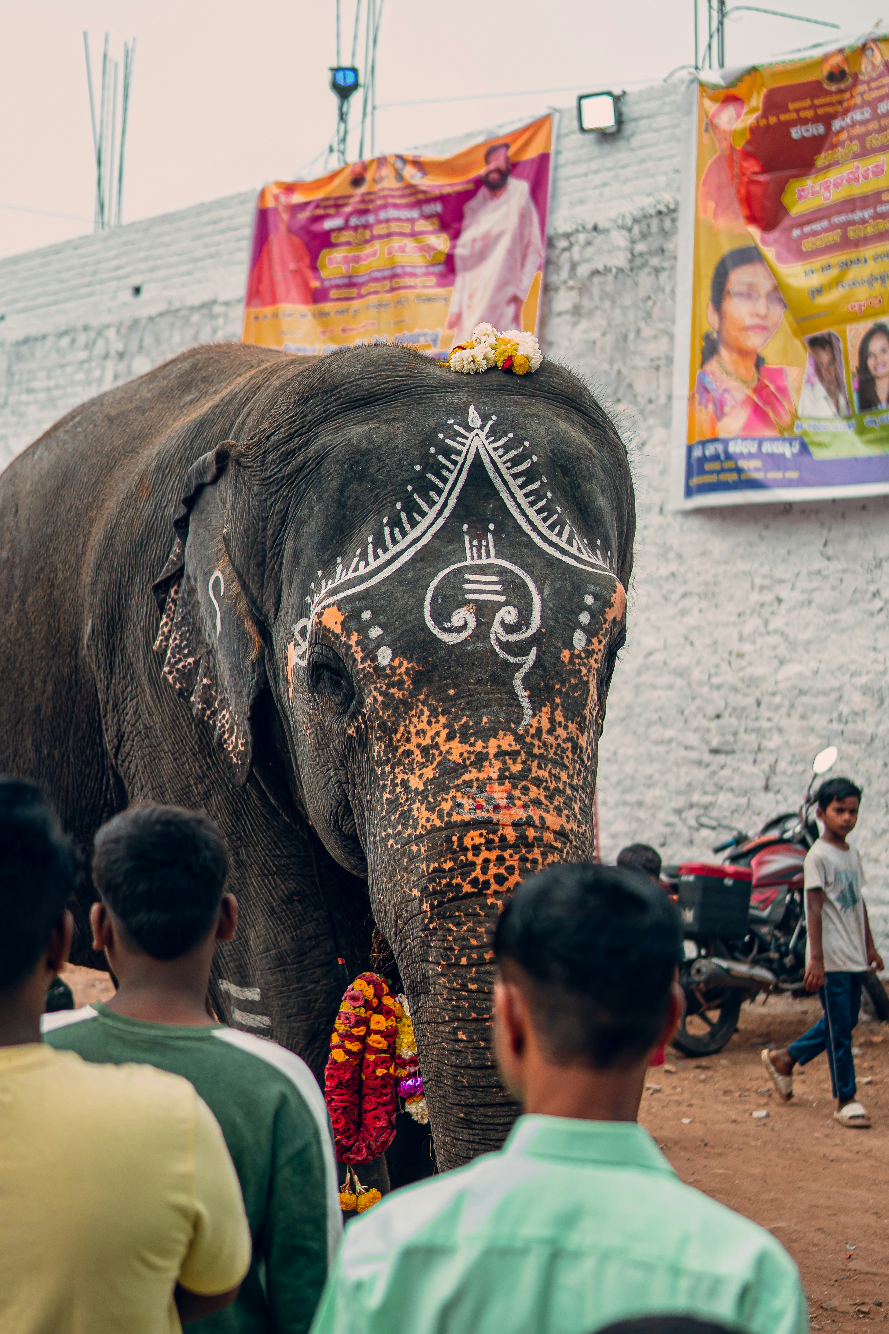 A large elephant walking down a street next to a crowd of people