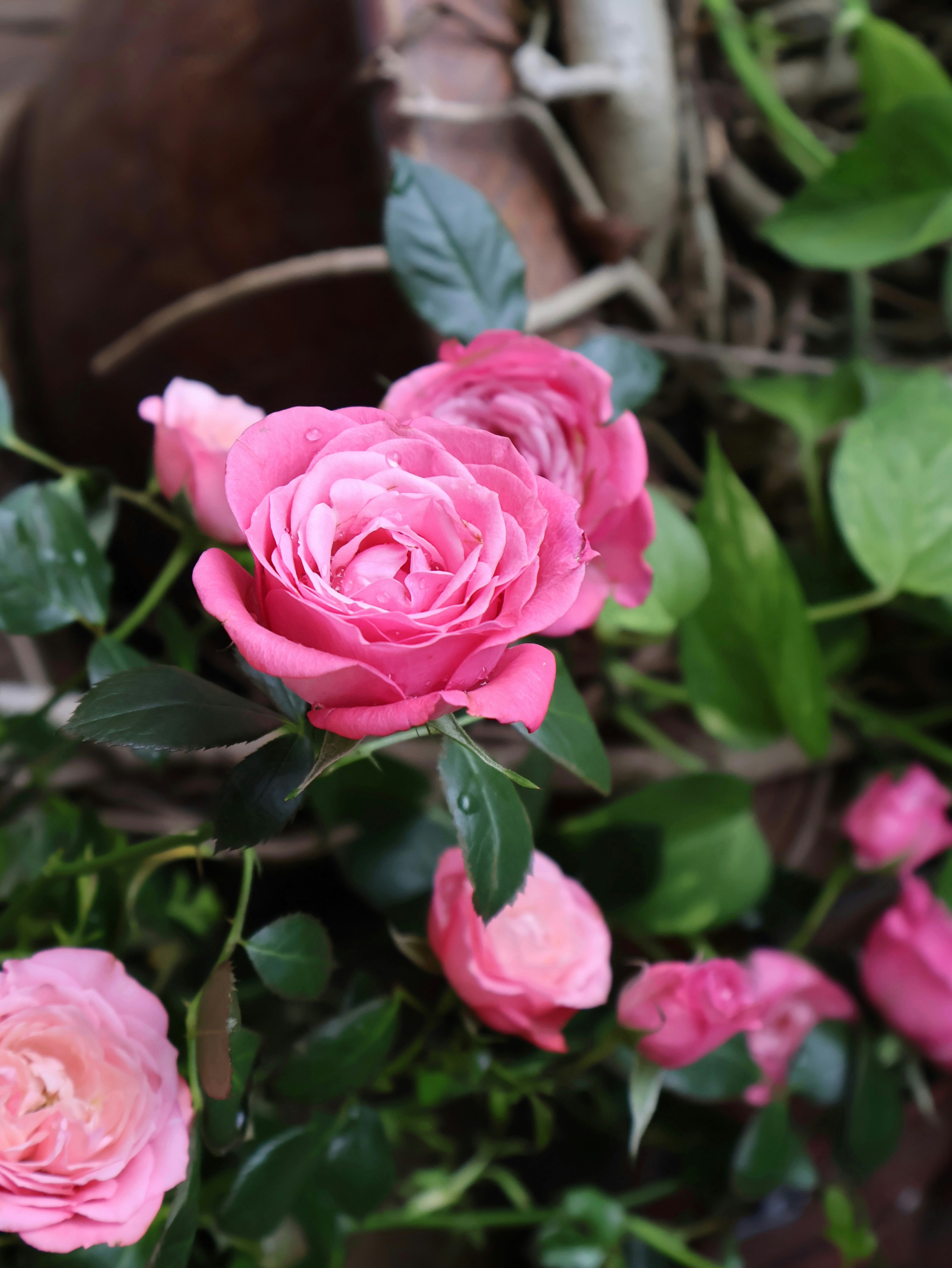 Photo by kristran1304