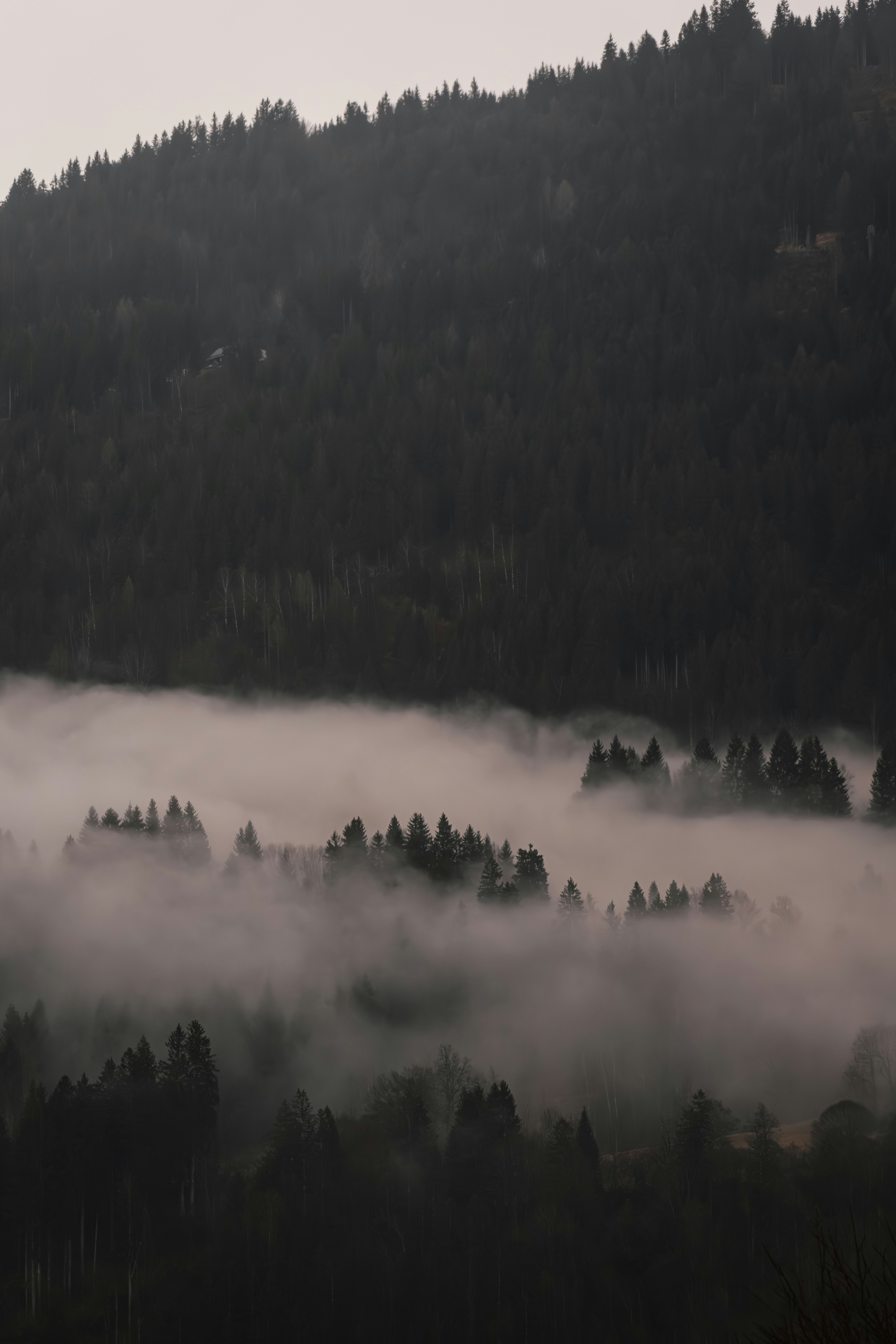 Photo by ahmetyuksek