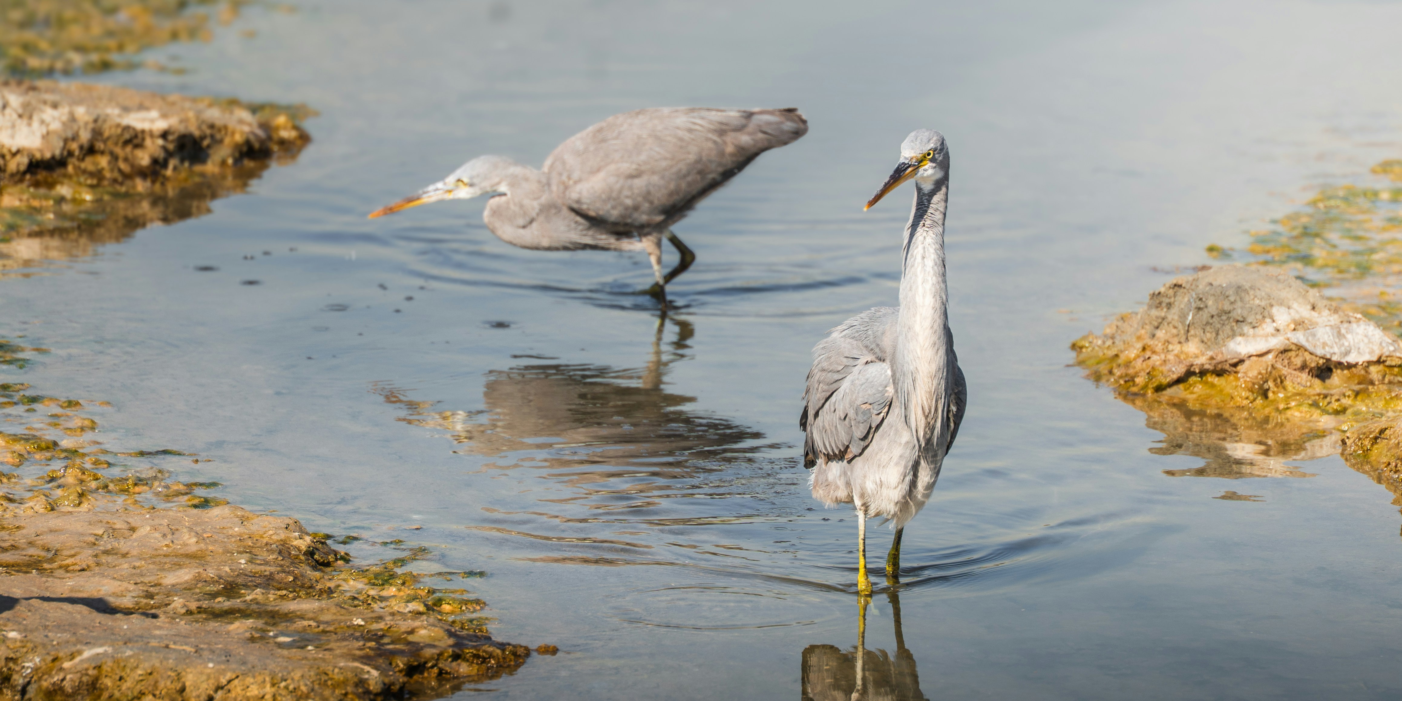 Photo by thejaswinramesh