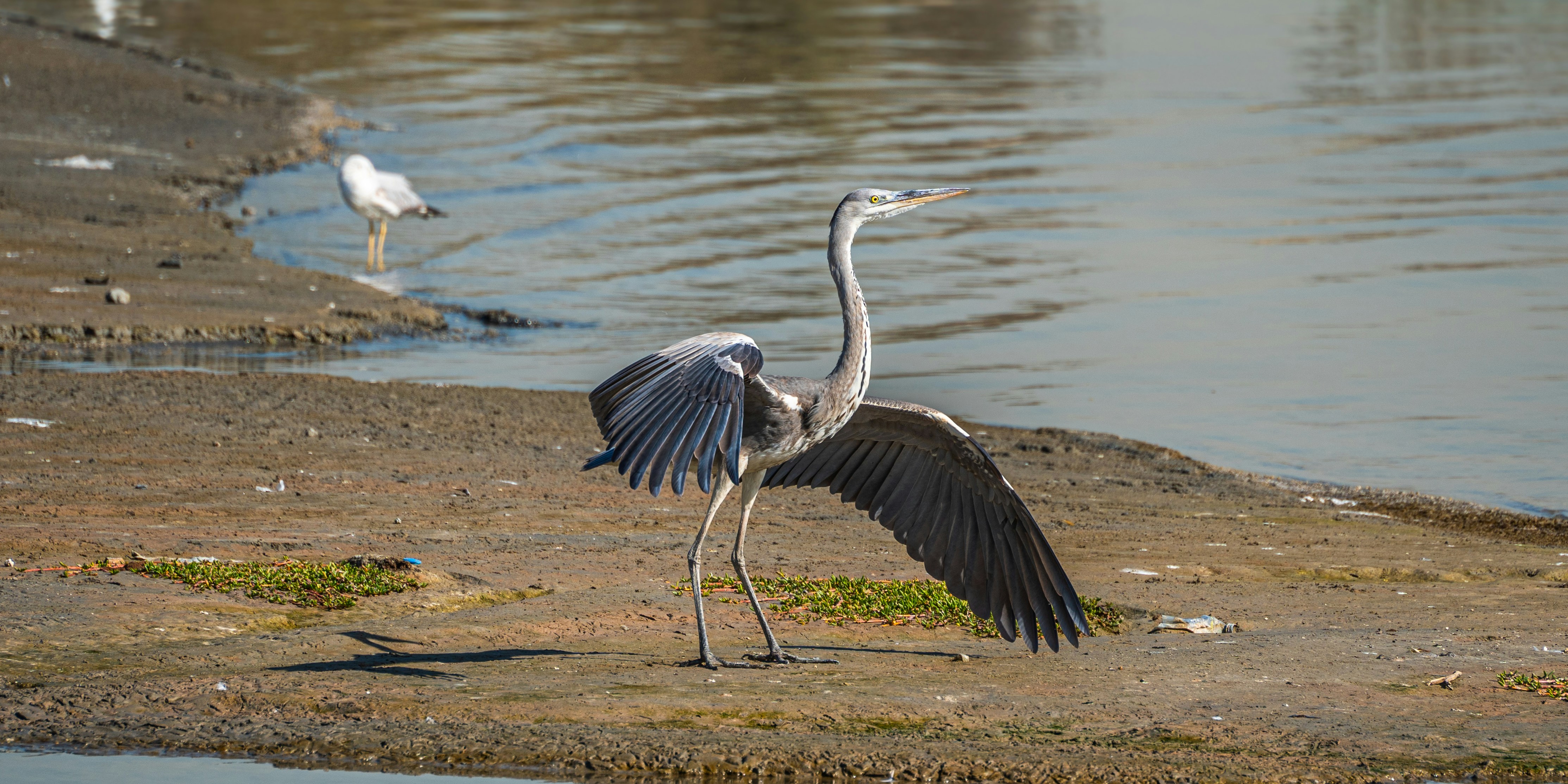 Photo by thejaswinramesh