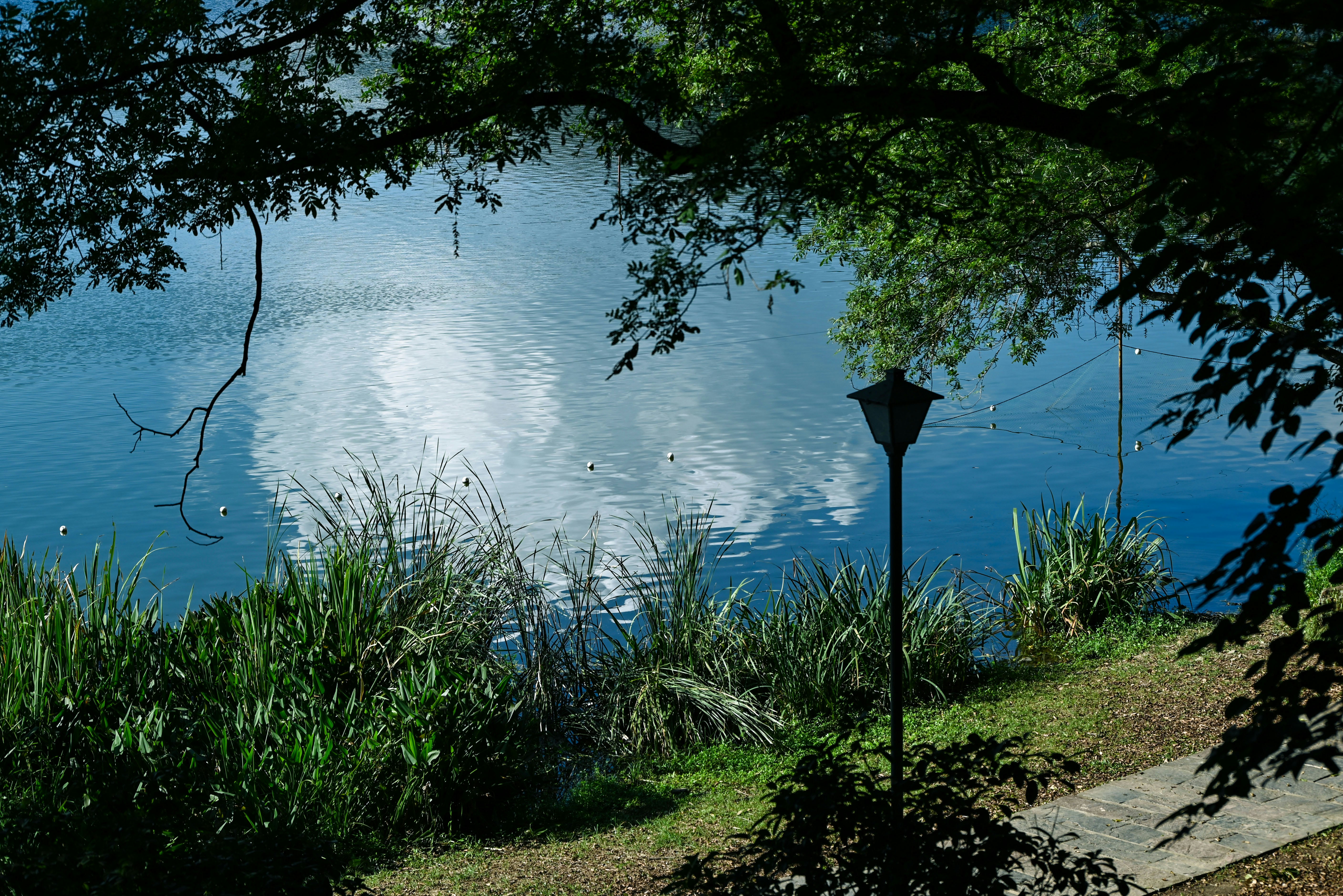 Clinton Lakes County Park