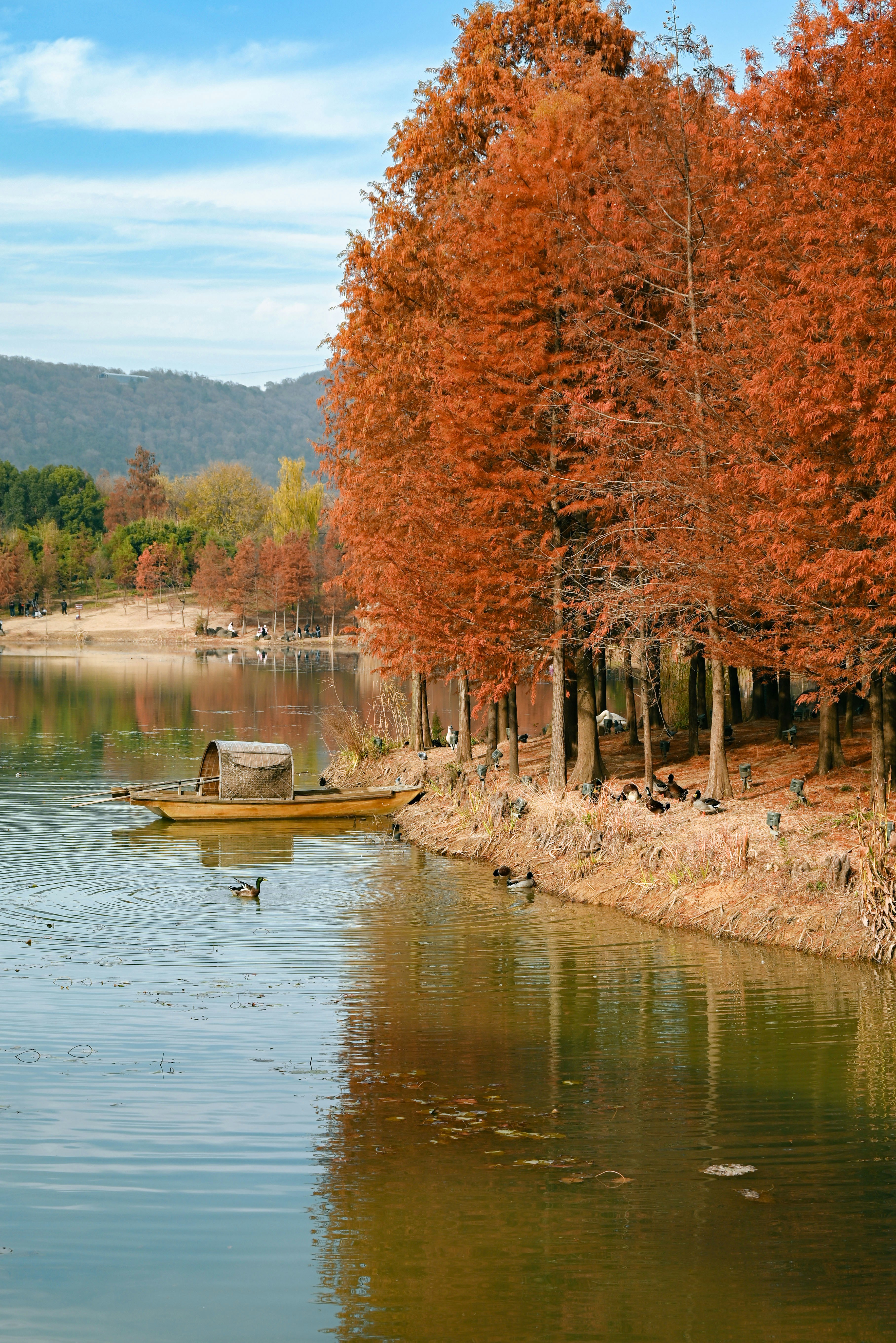 A boat floating on top of a lake surrounded by trees