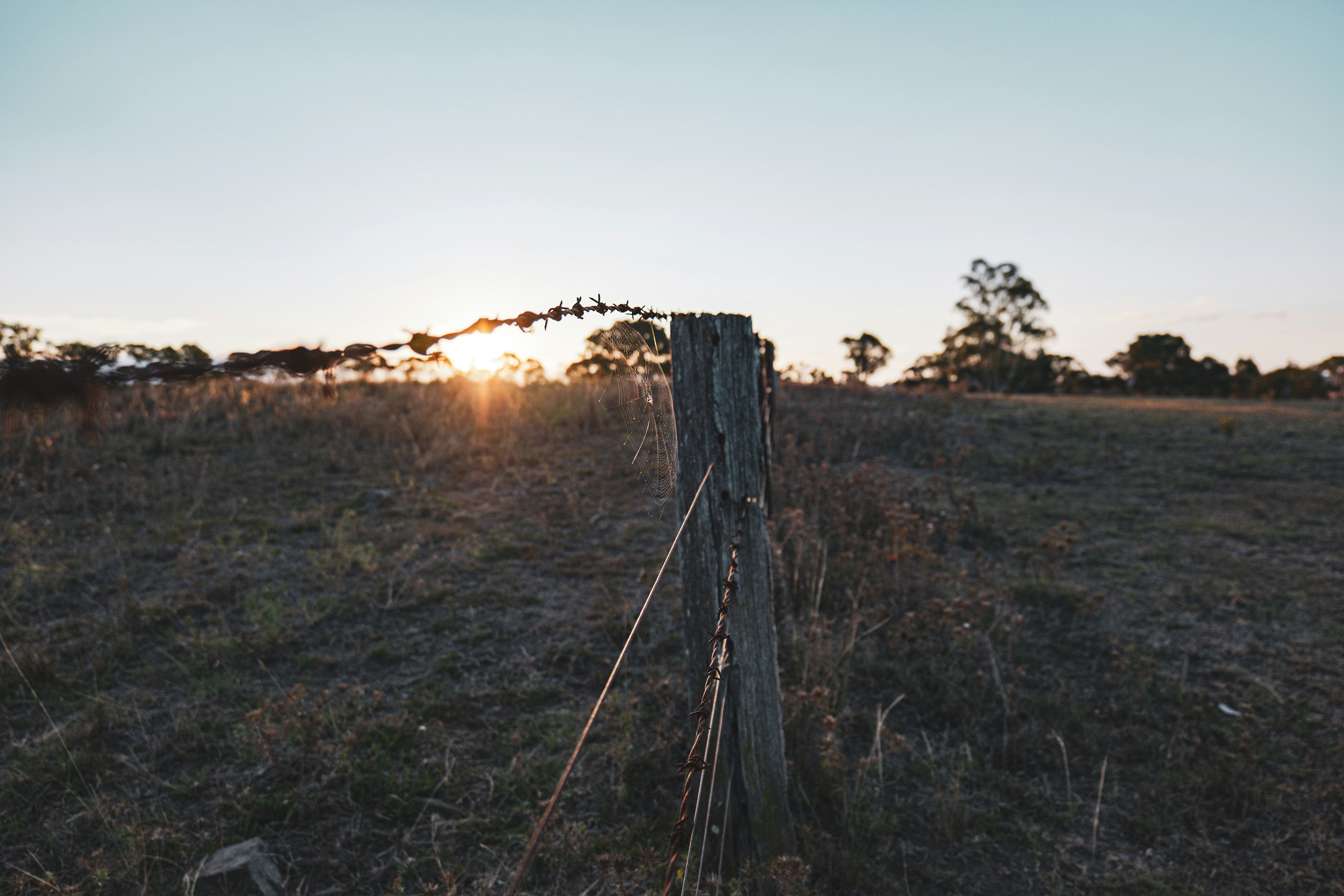 A wooden fence in the middle of a field