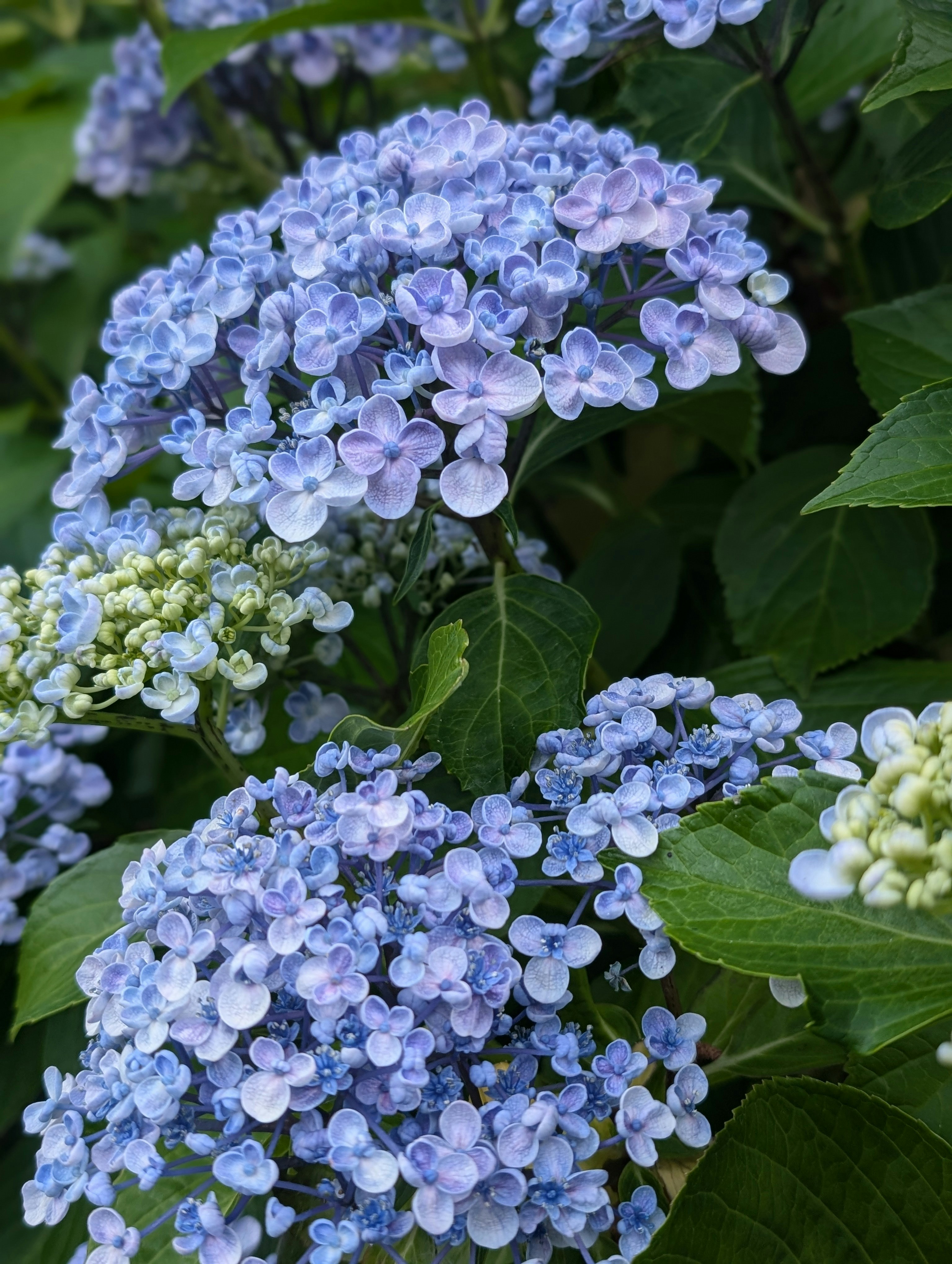 Photo by allsadwords