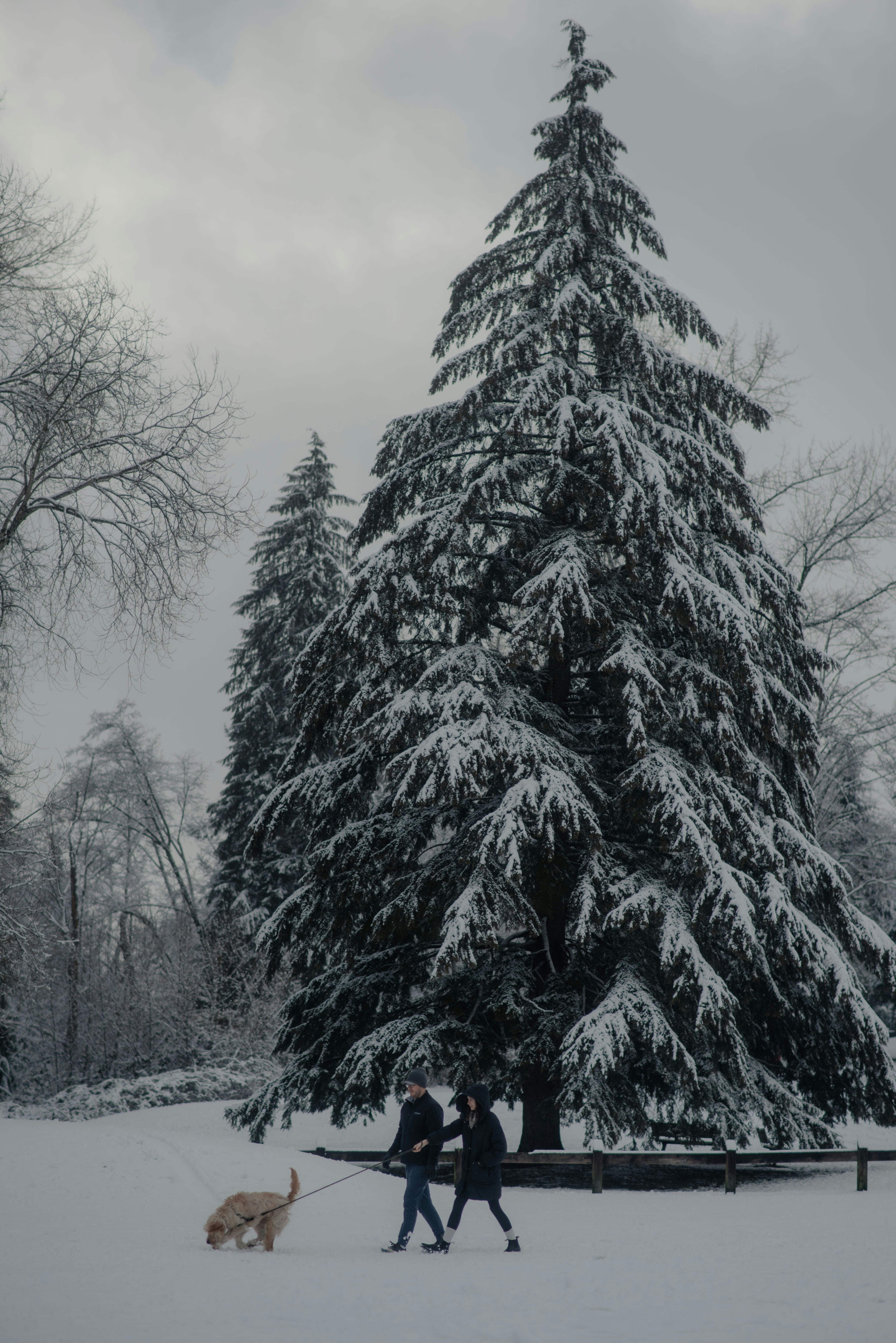Un par de personas paseando a un perro en la nieve