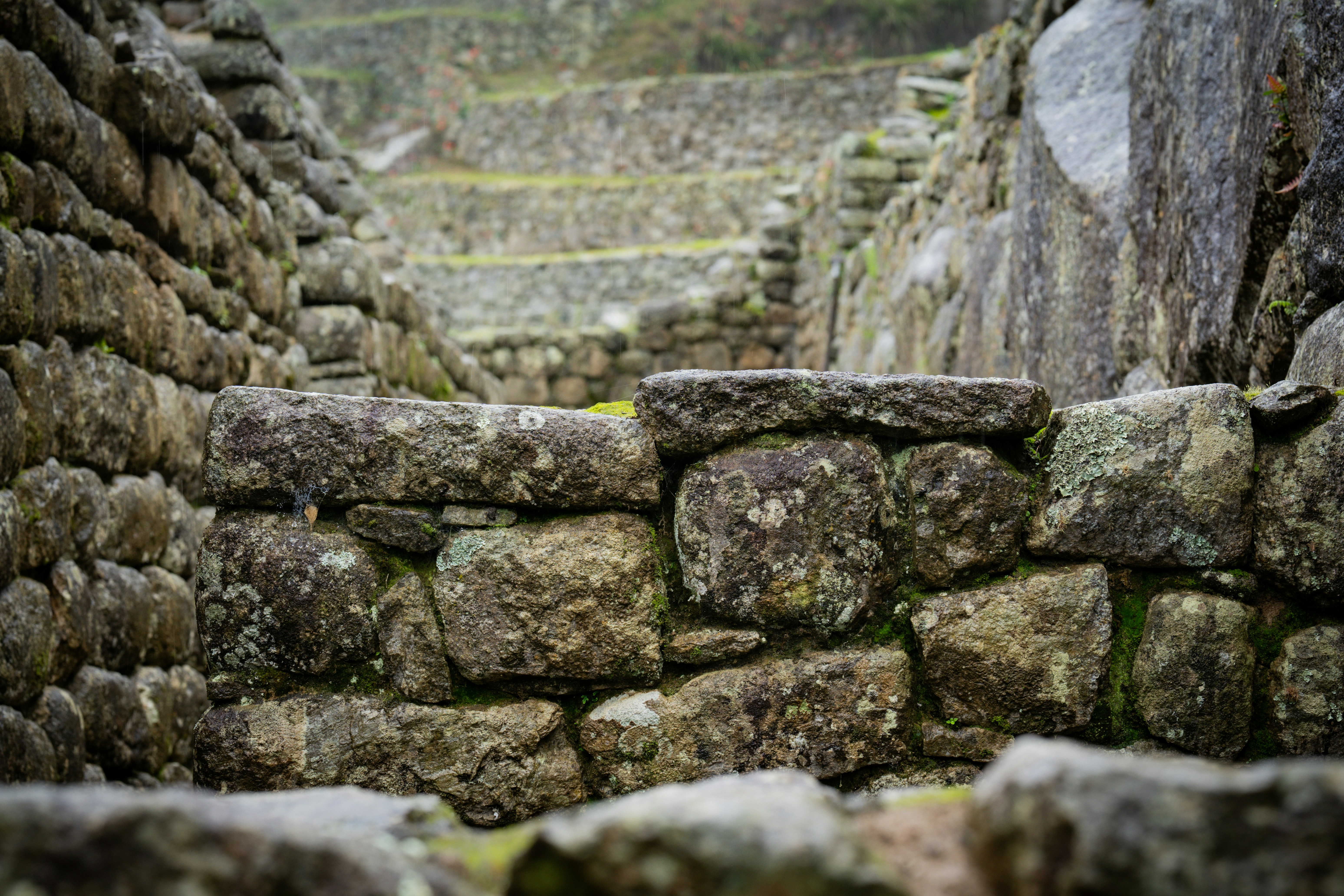 Photo by samtakespictures