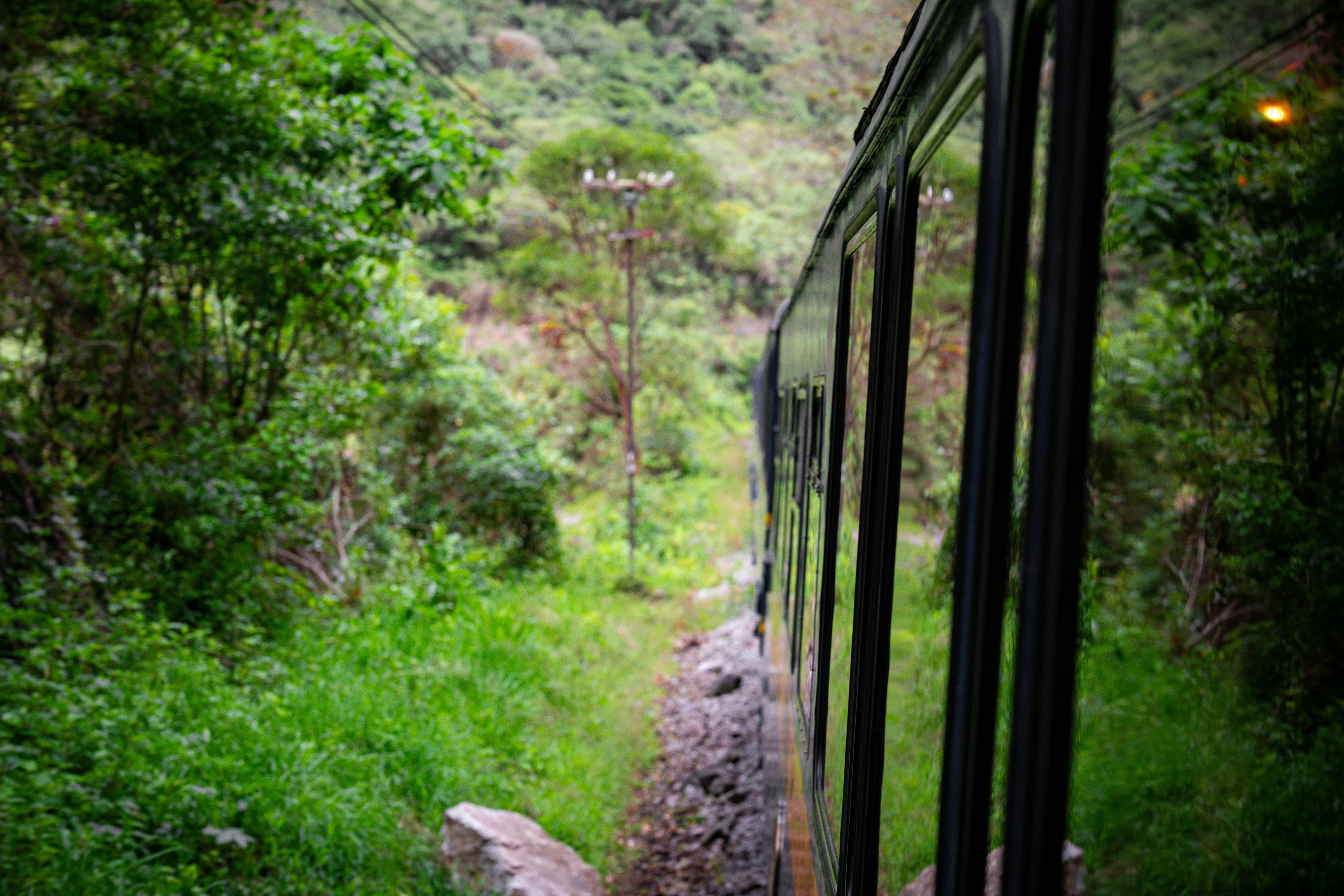 Photo by samtakespictures