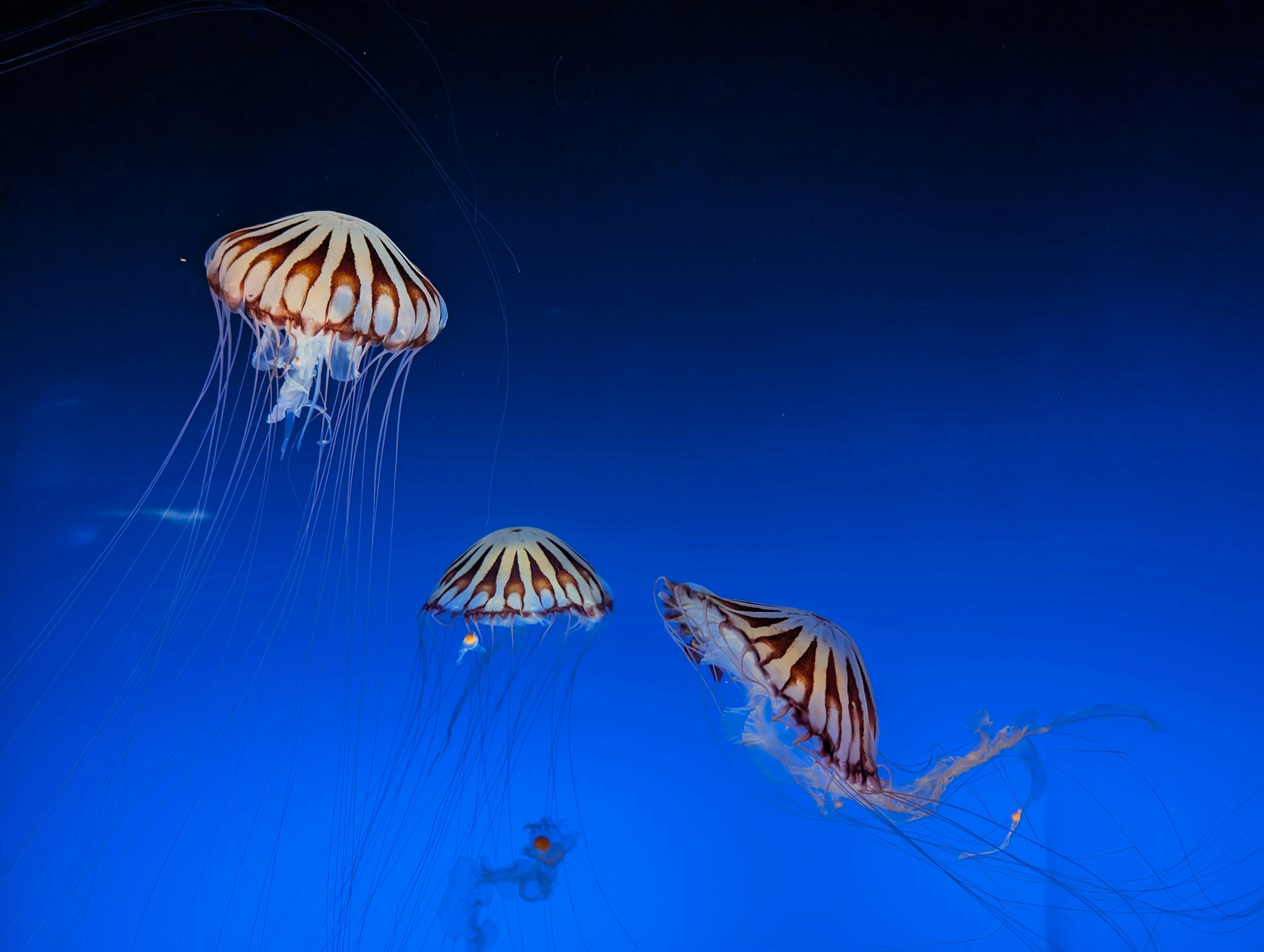 Photo by allsadwords