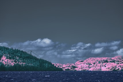 Rose Island, Torngat Mts, Canada port