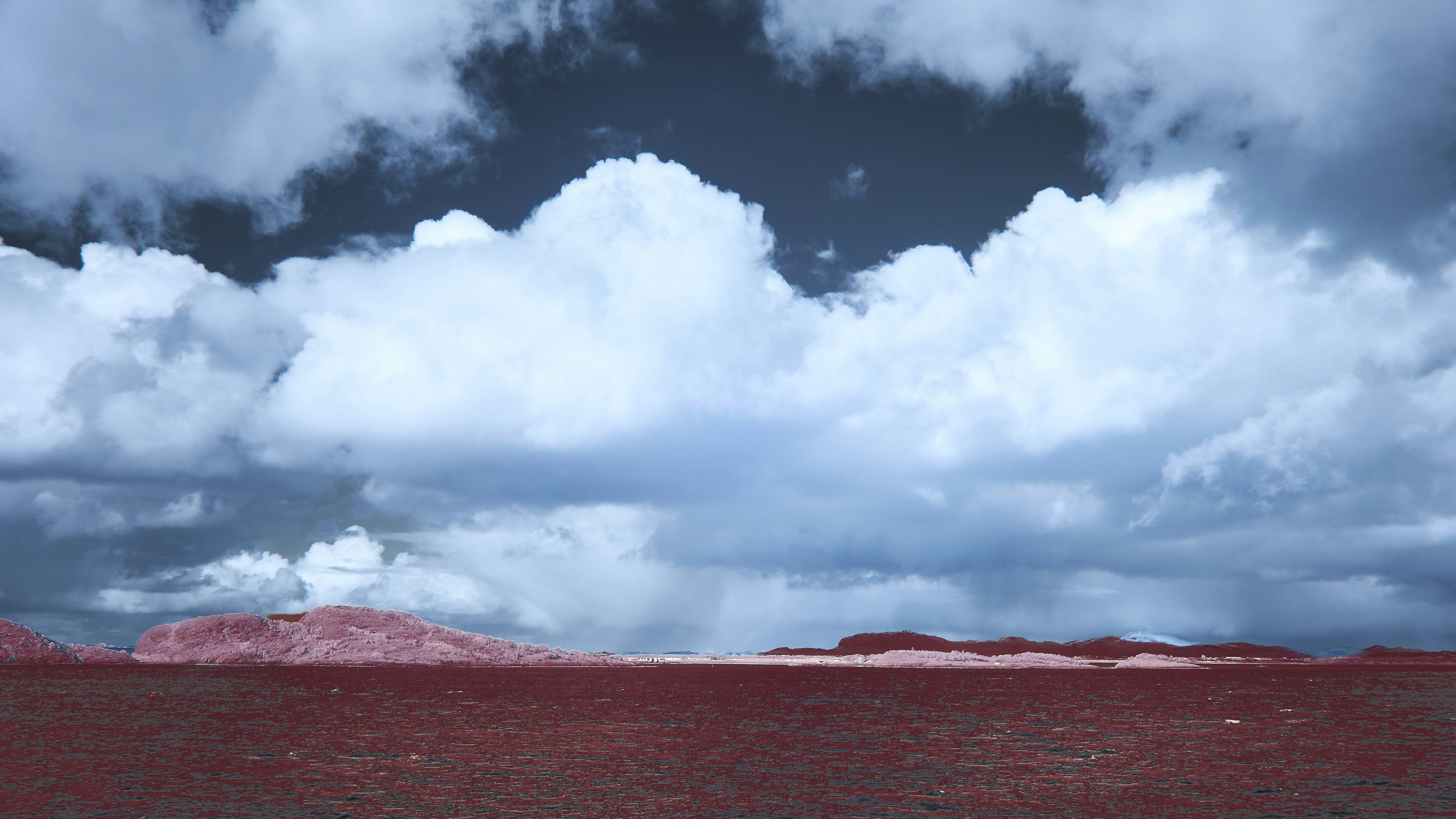 Photo by wolfgang_hasselmann