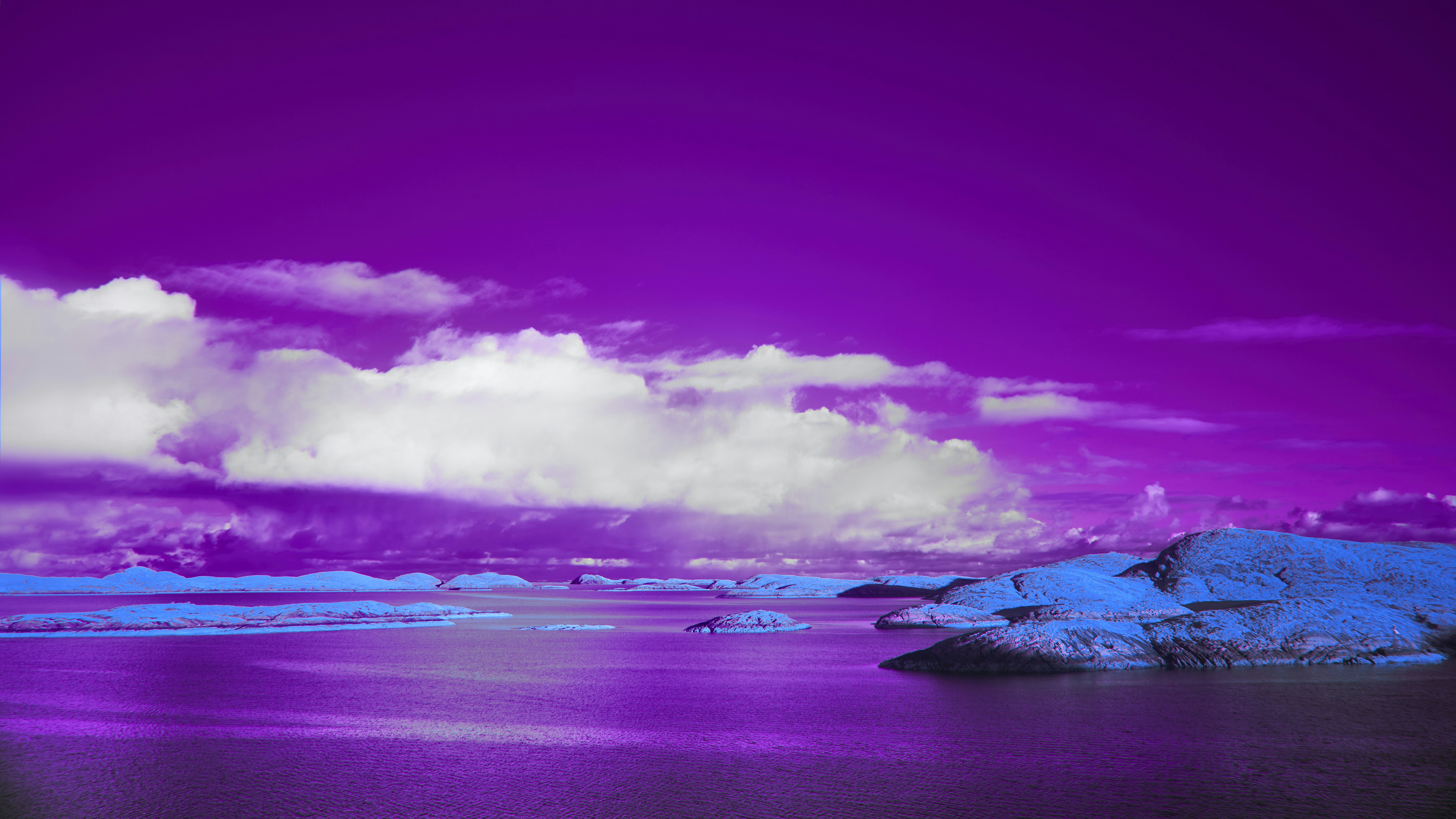 Photo by wolfgang_hasselmann