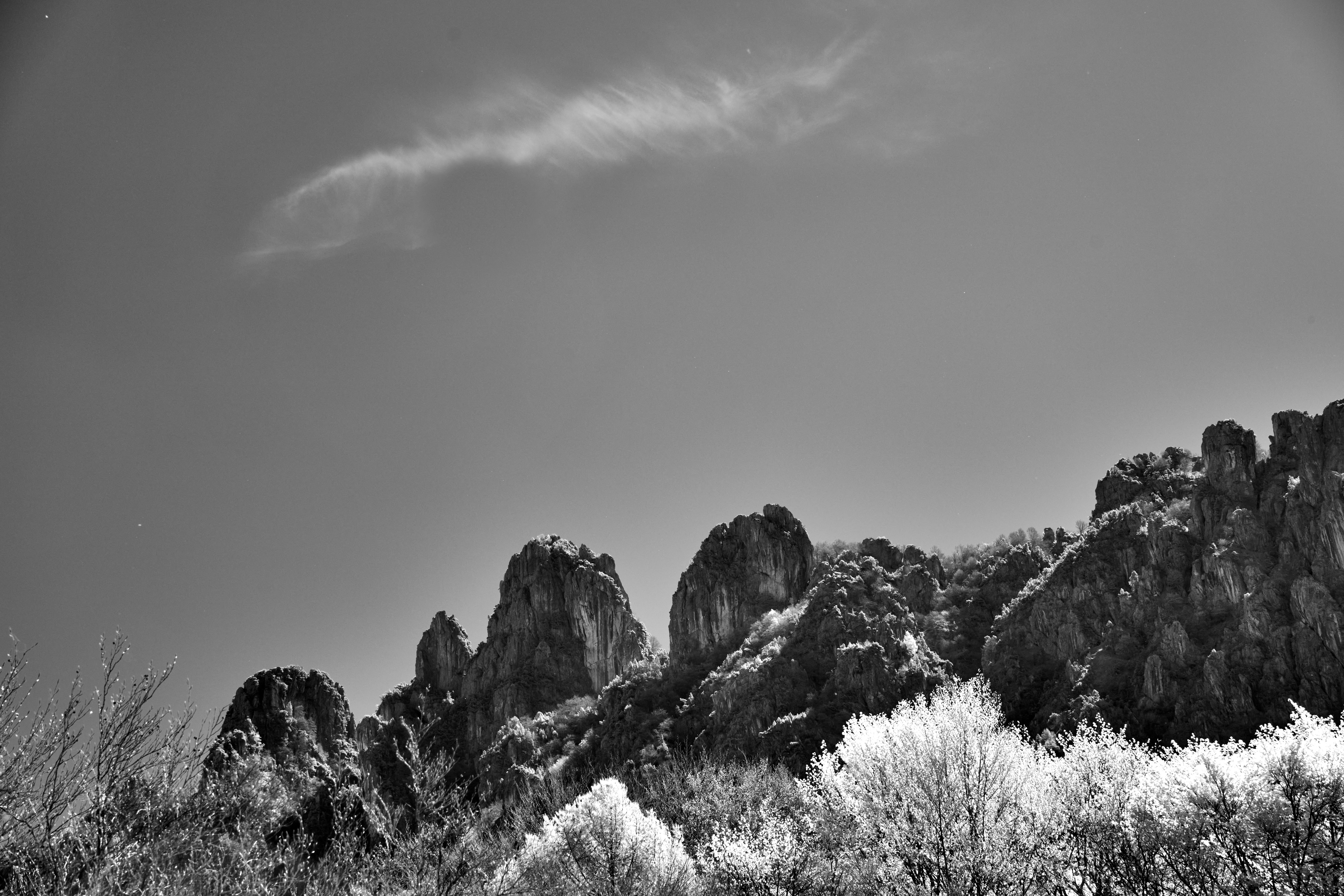 Photo by wolfgang_hasselmann