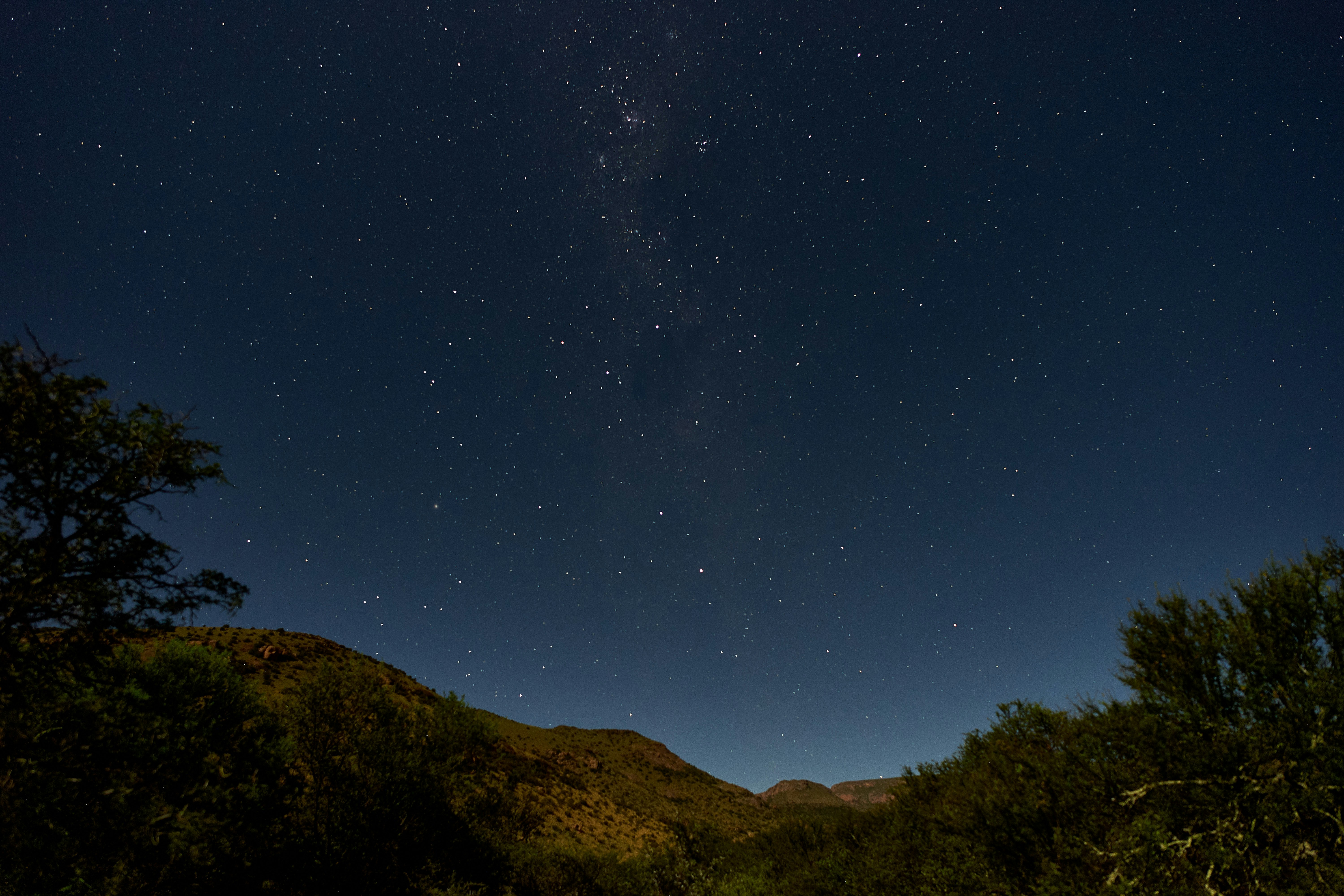 Photo by wolfgang_hasselmann